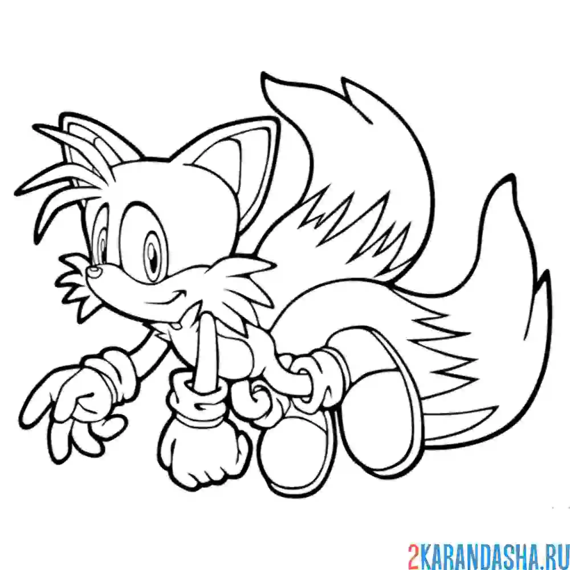 Раскраска тейлз летает