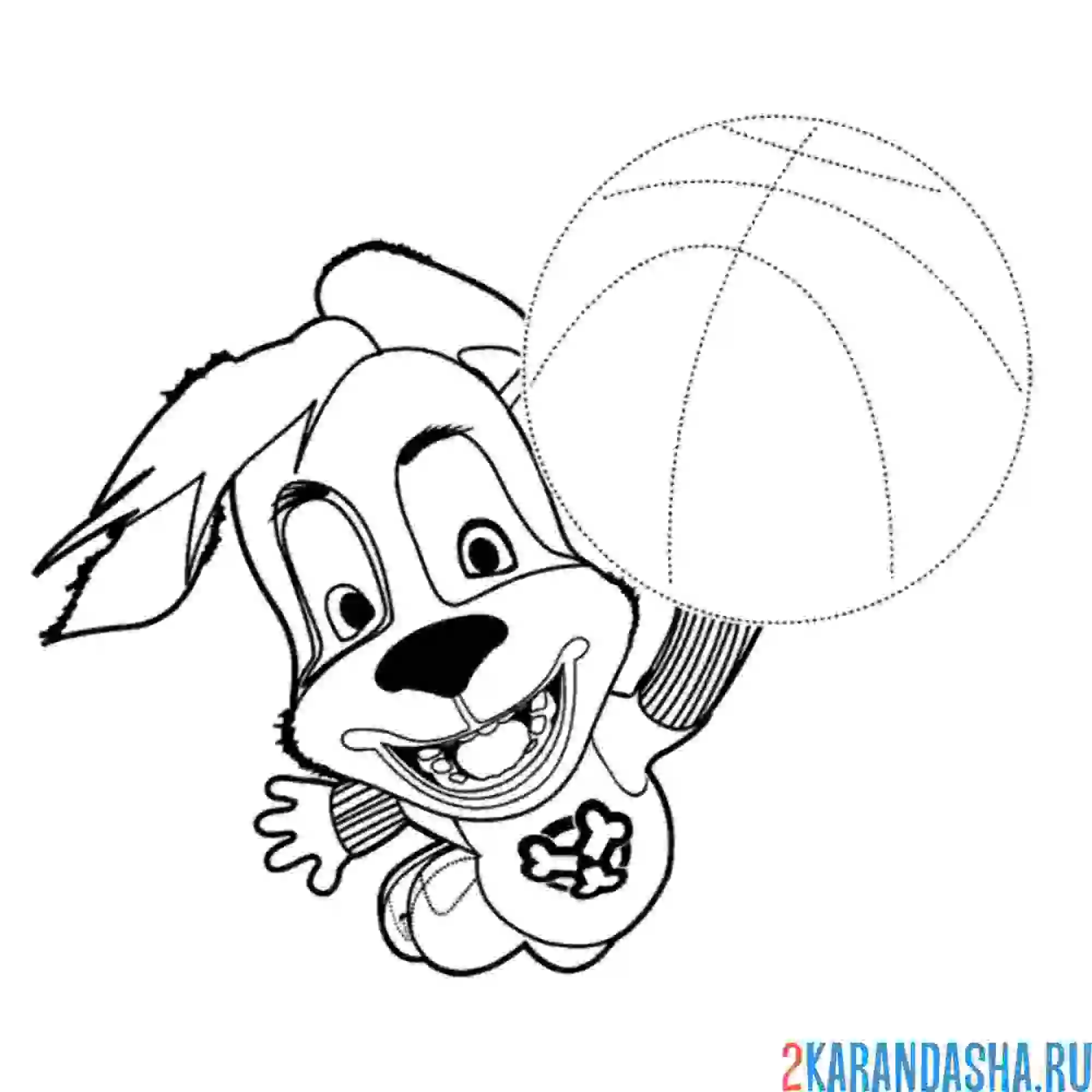 Раскраска дружок басктетболист