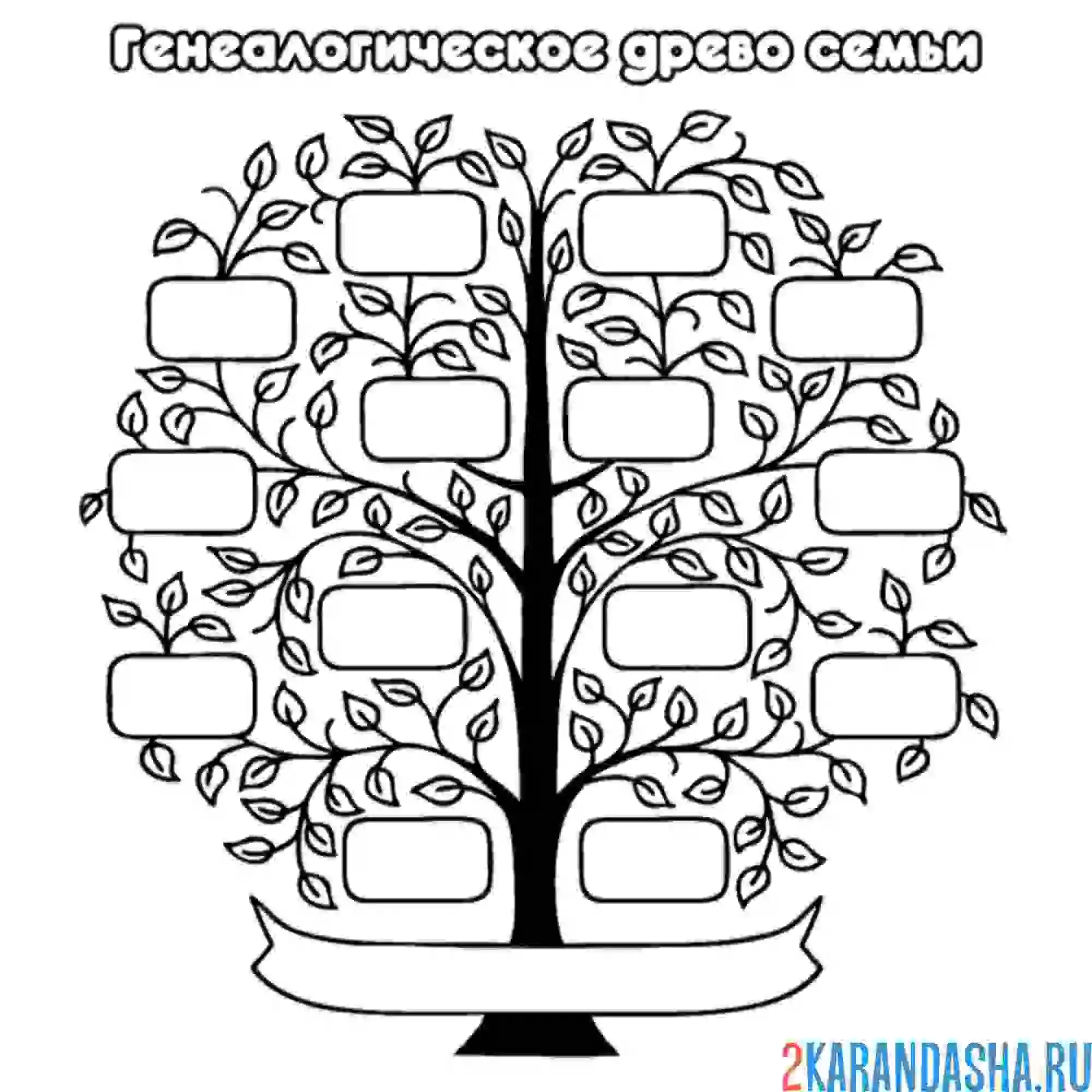 Раскраска генеалогическое древо семьи