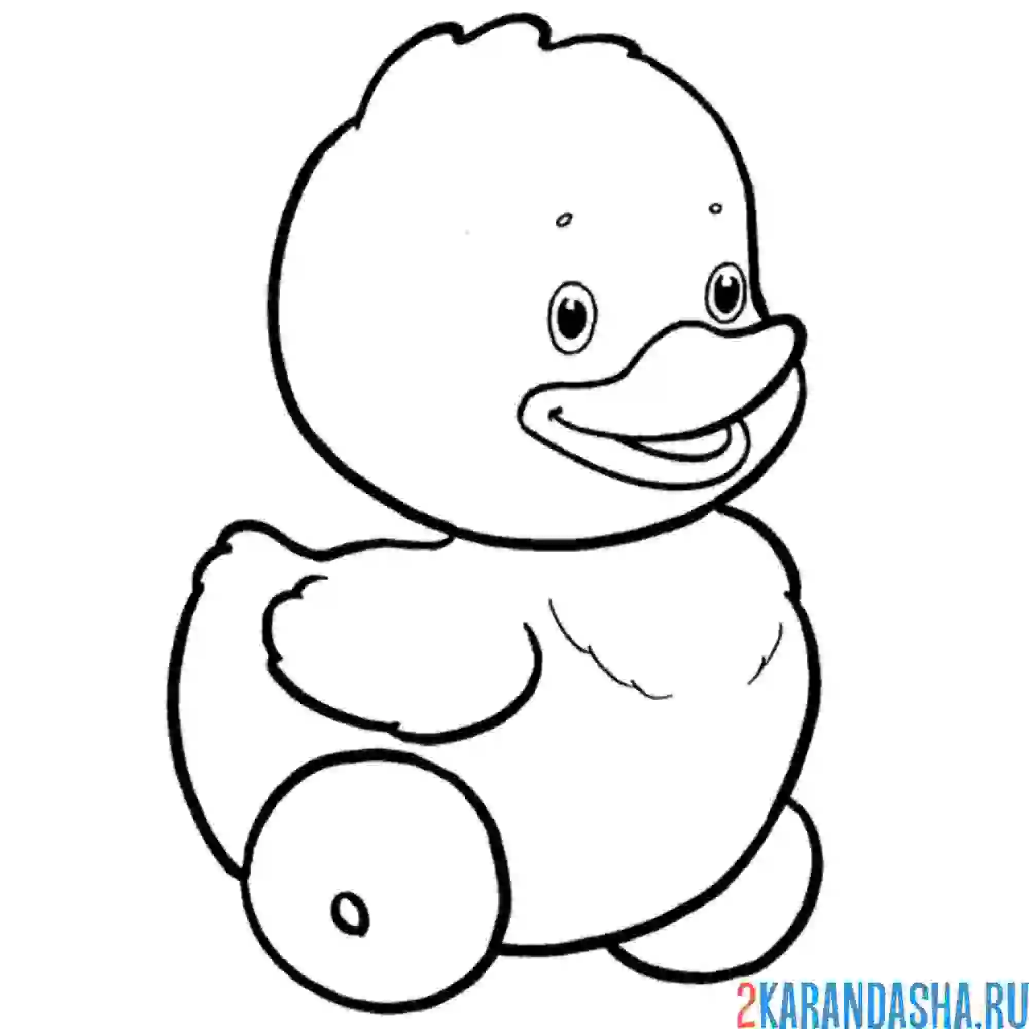 Раскраска уточка с колесами