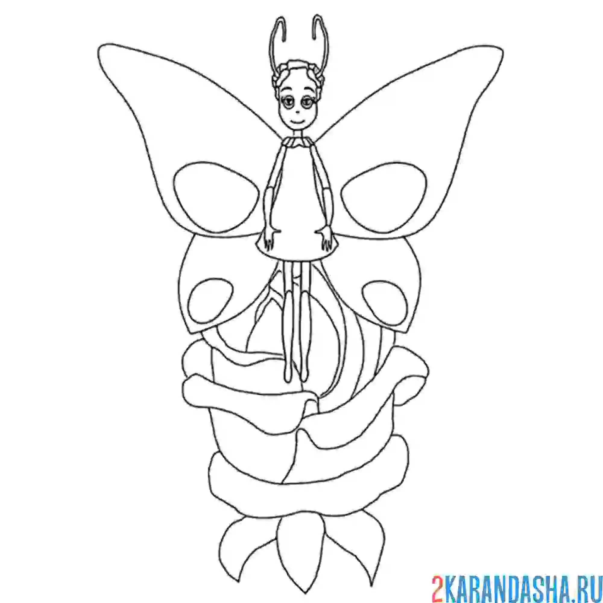 Раскраска элина бабочка