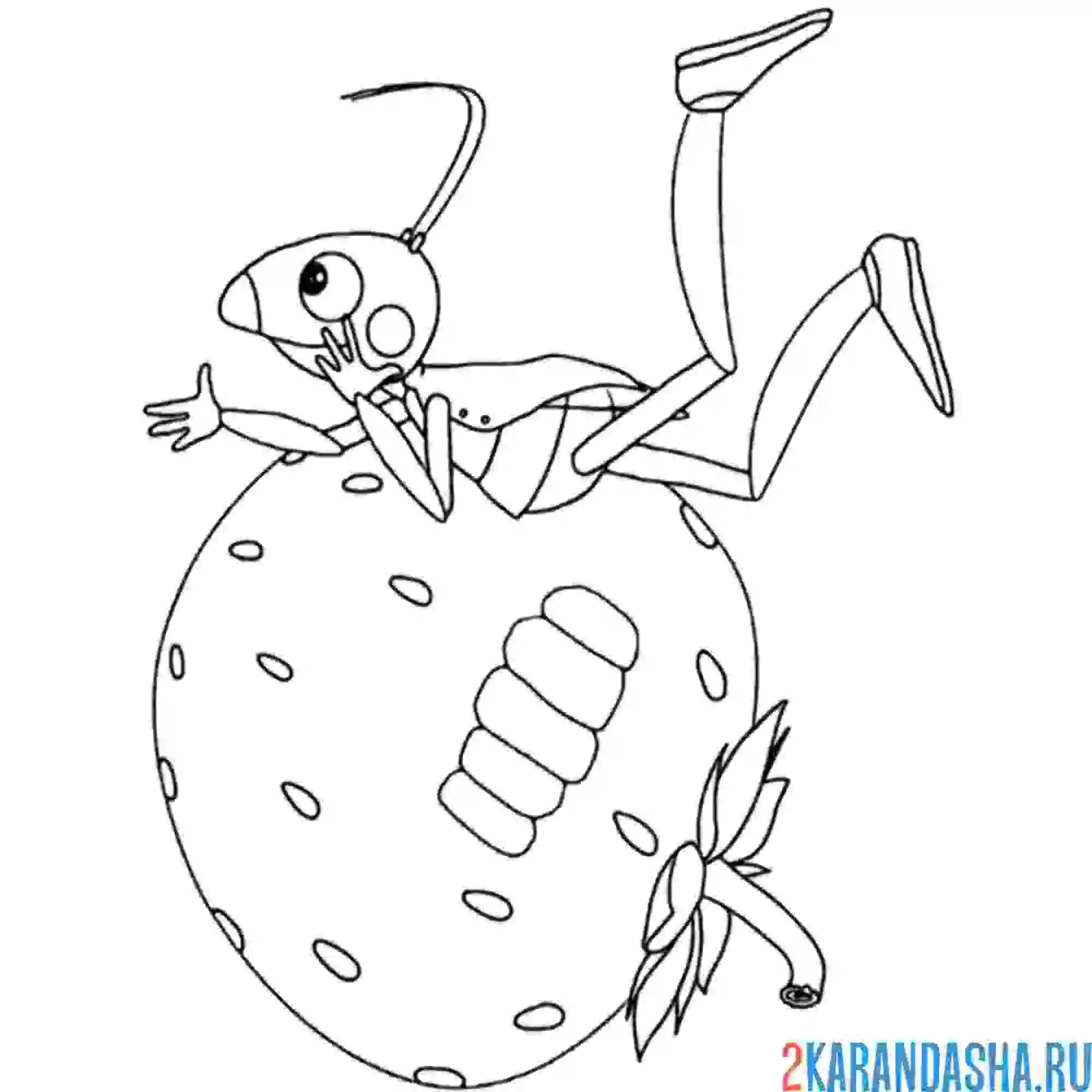 Раскраска муравей кузя на клубничке