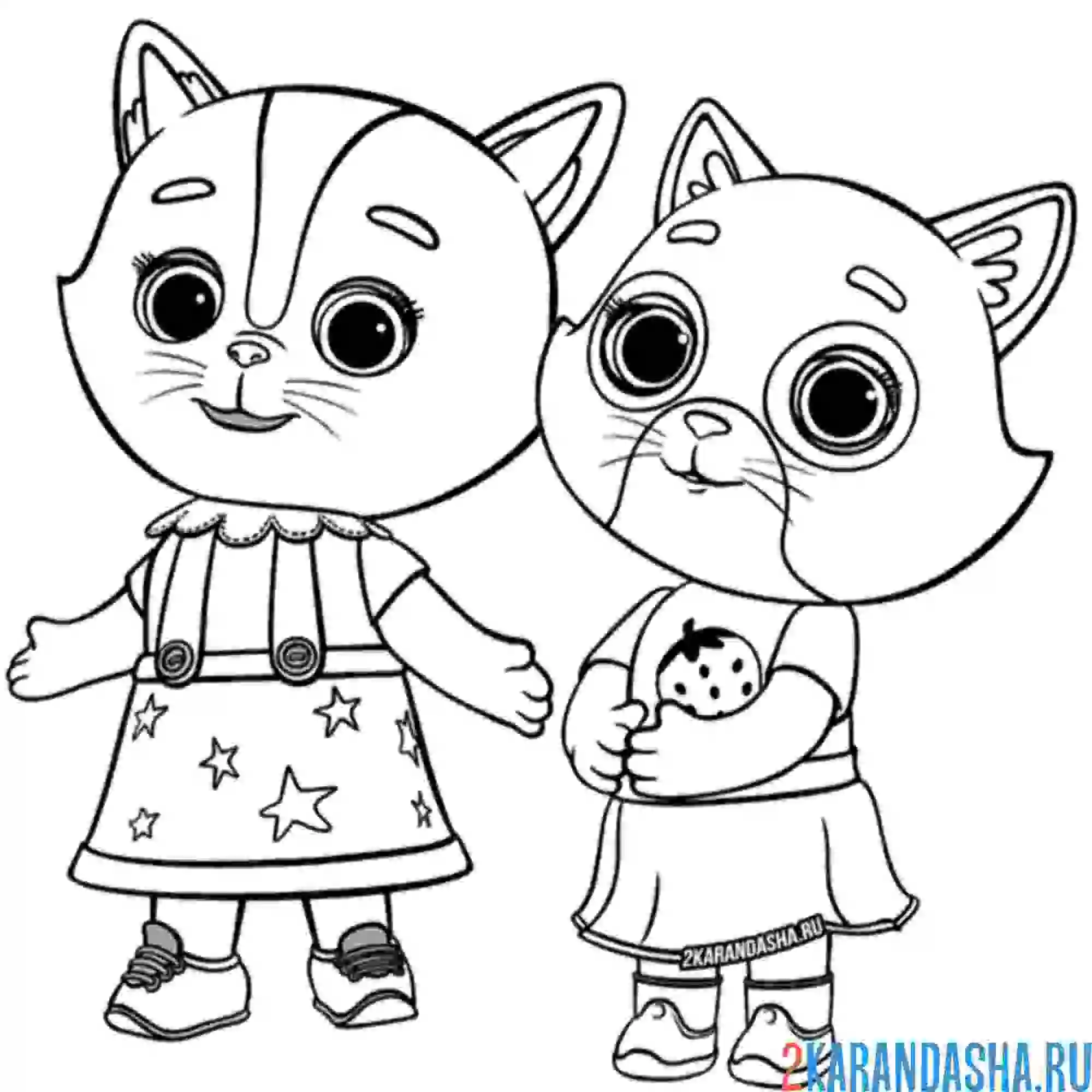 Раскраска алиса и буся