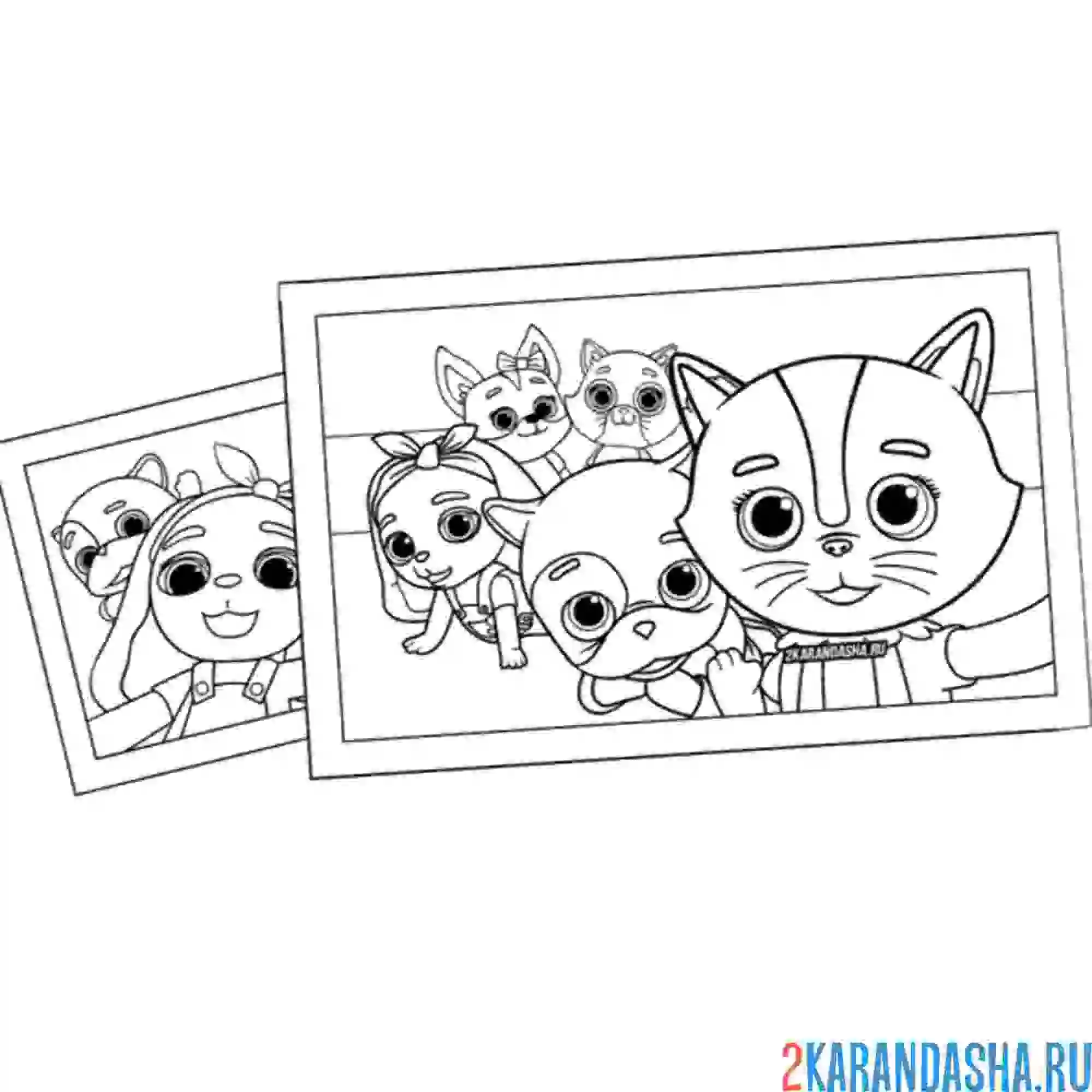 Раскраска фото всех кошечек-собачек
