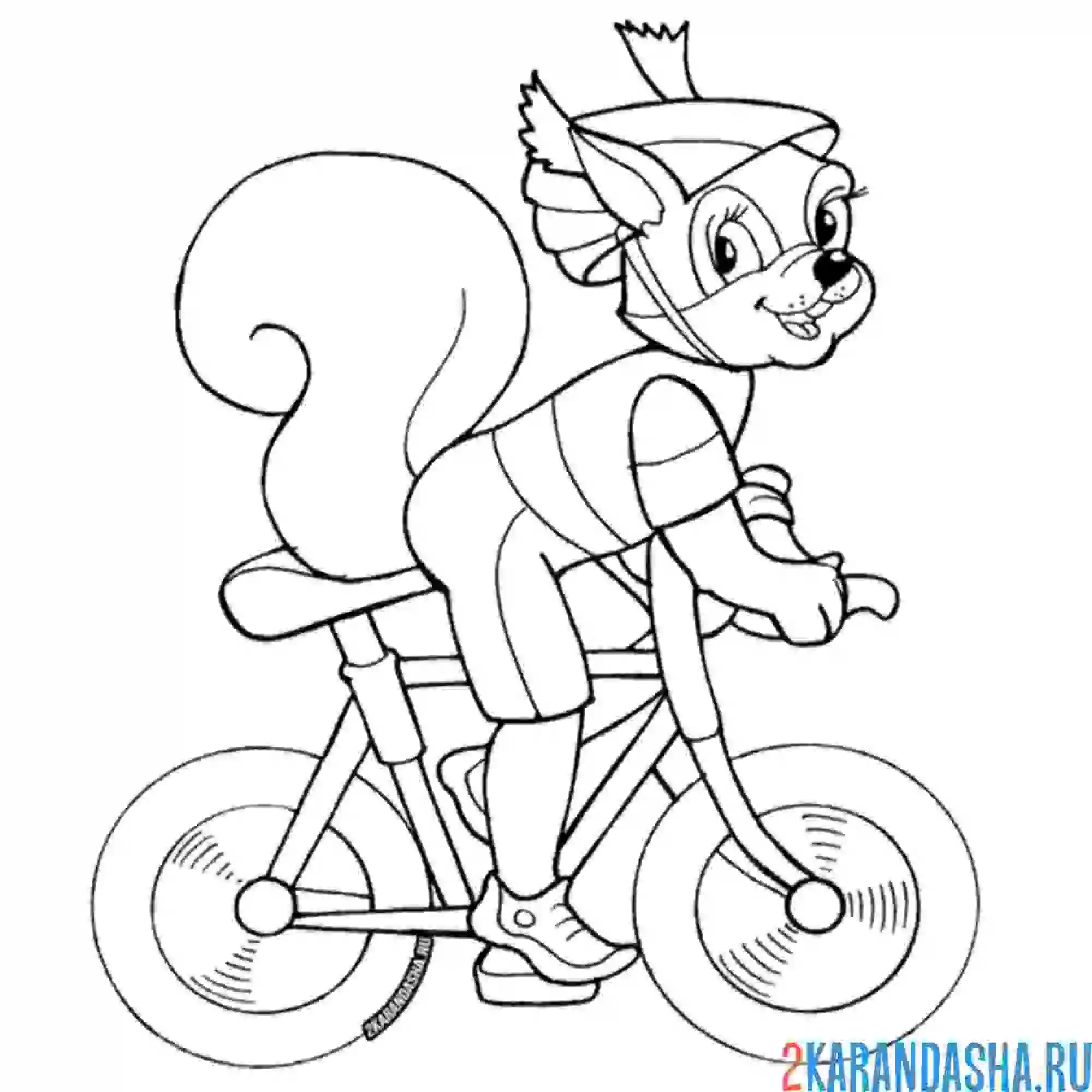 Раскраска белочка на велосипеде