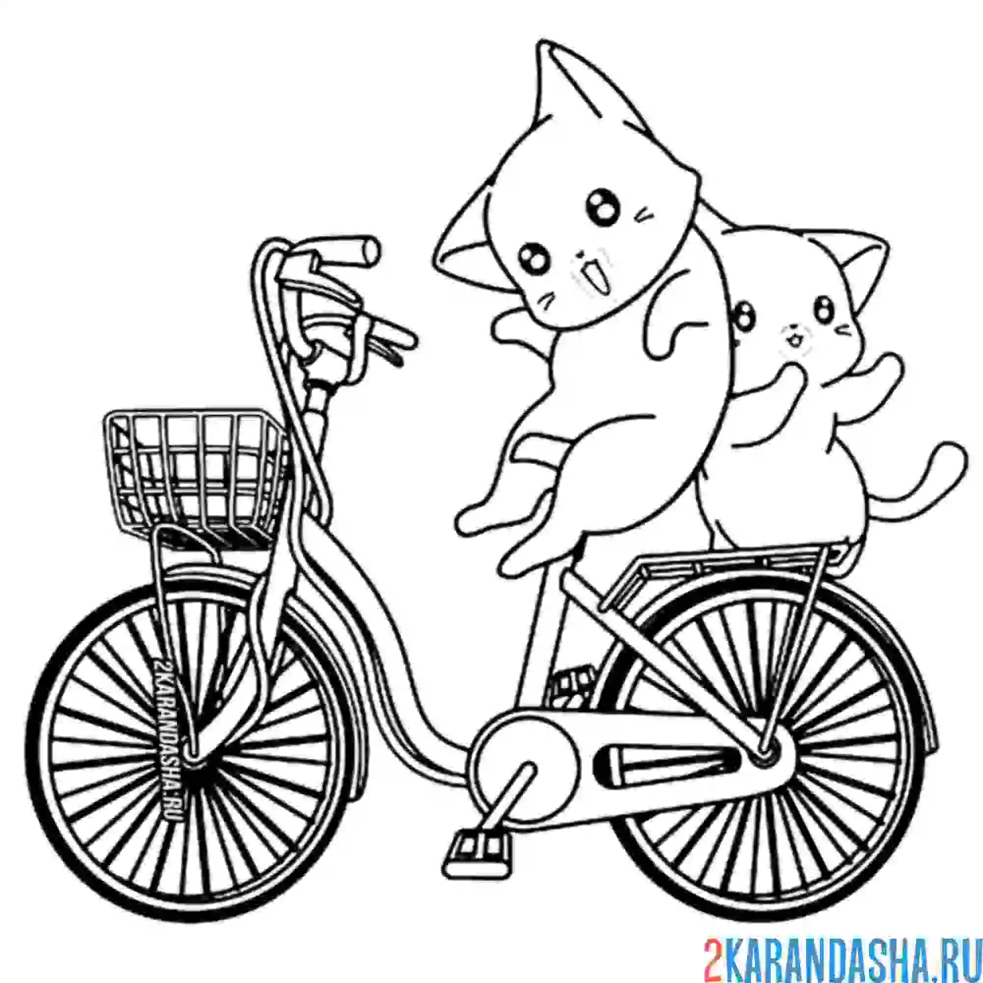 Раскраска два котенка на велосипеде