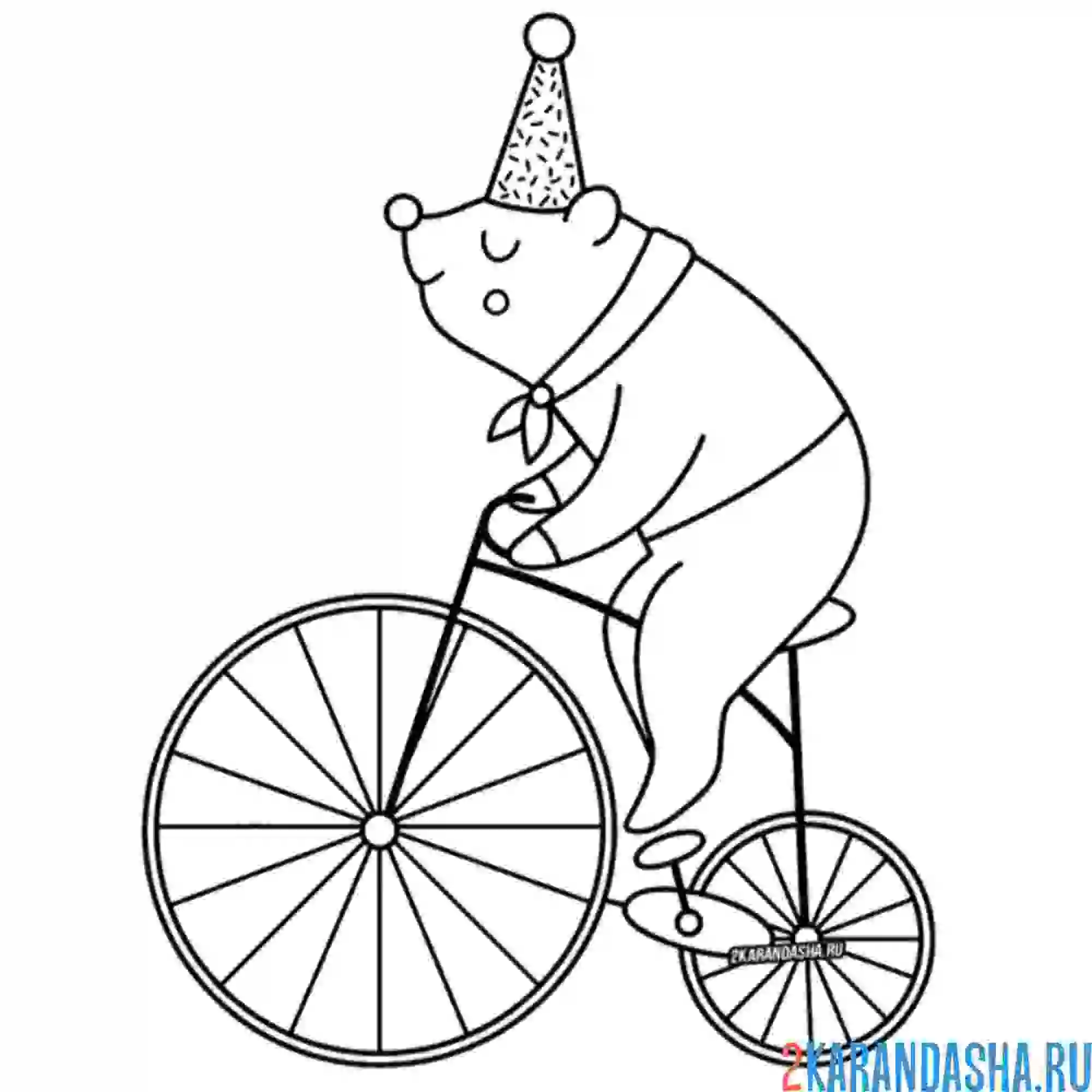 Раскраска мишка едет на велосипеде
