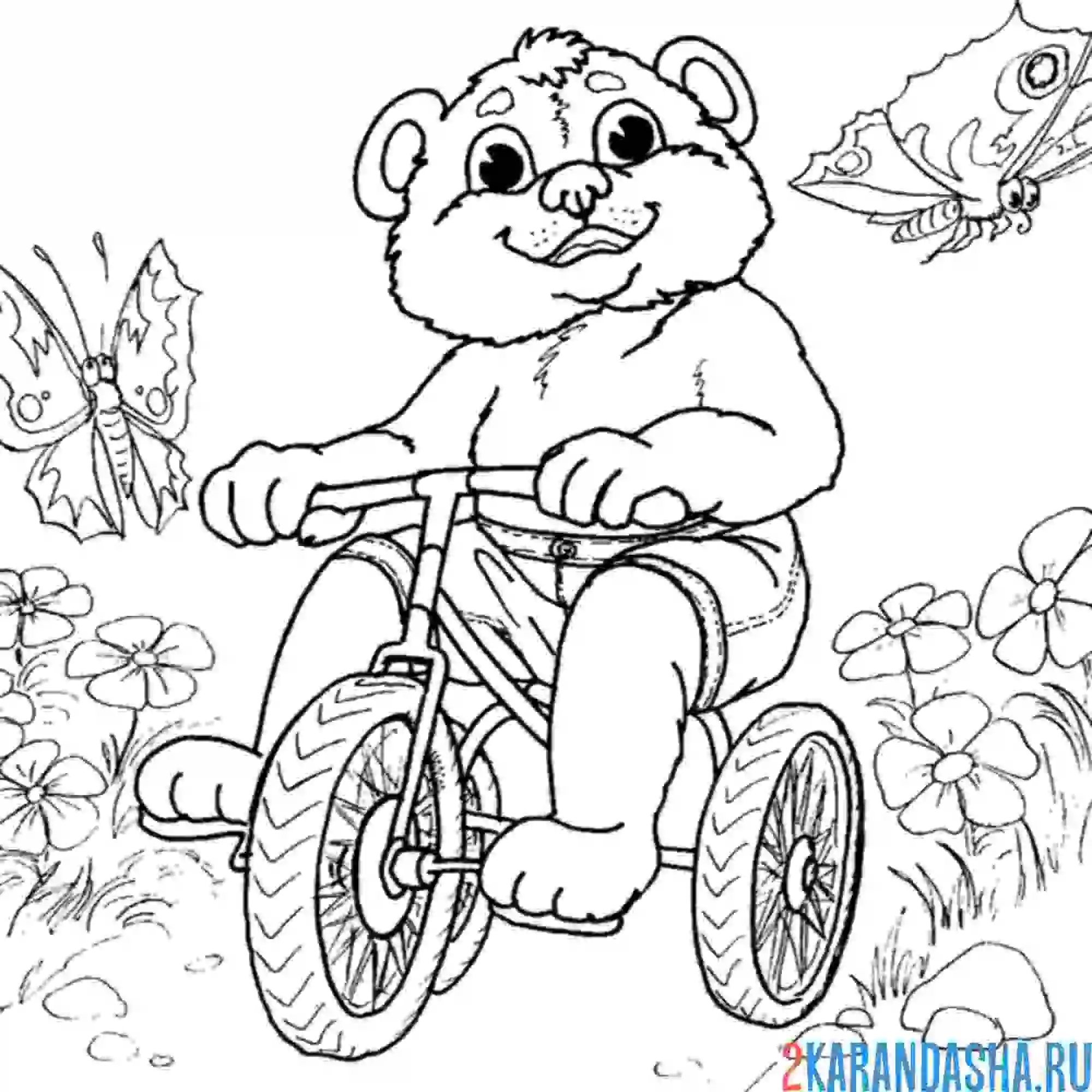 Раскраска мишка на велике