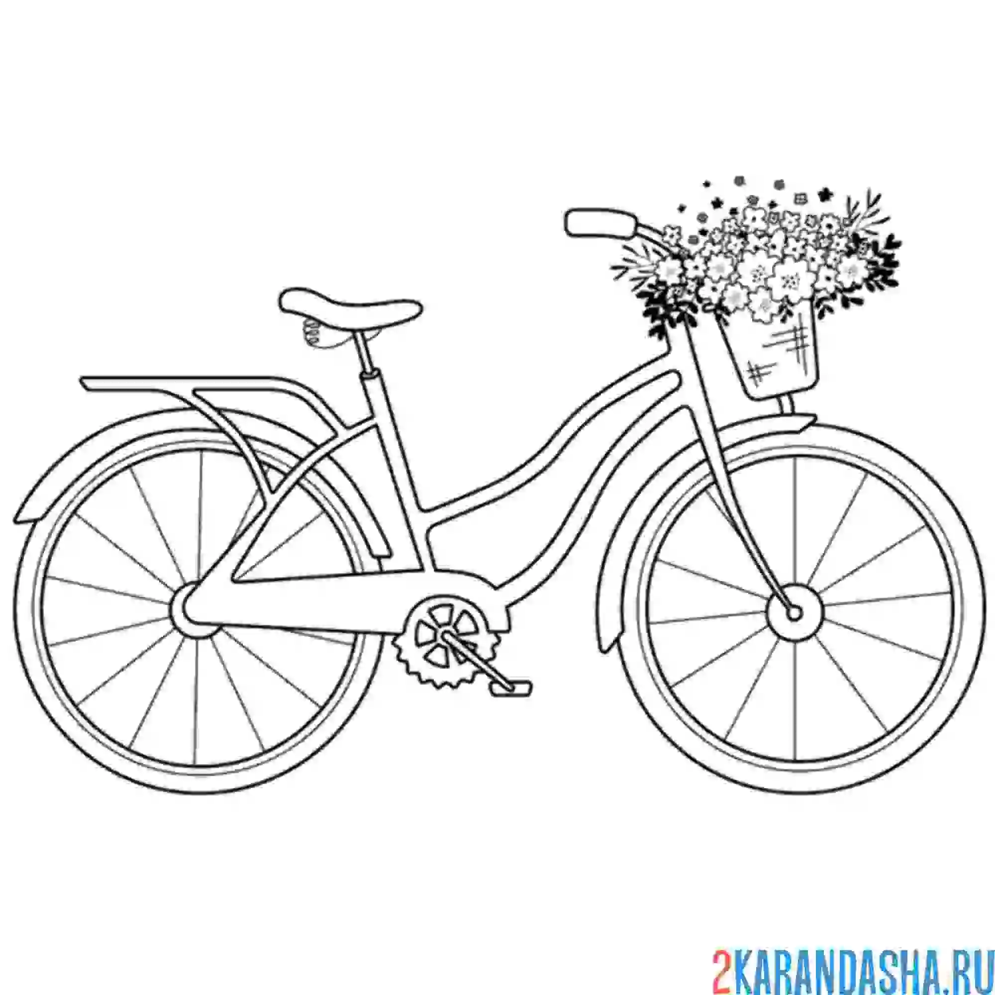 Раскраска женский велосипед с корзинкой