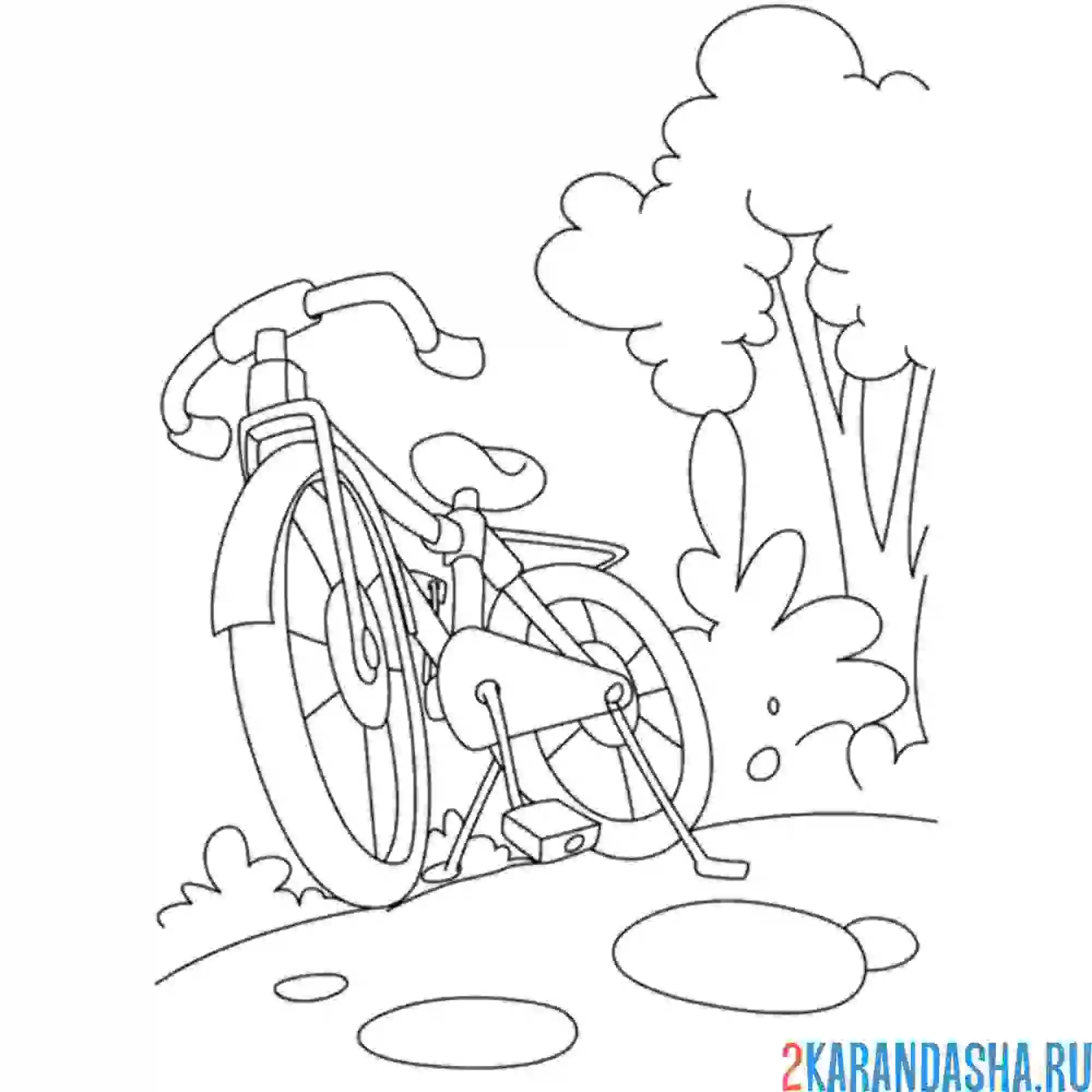 Раскраска велосипед в лесу
