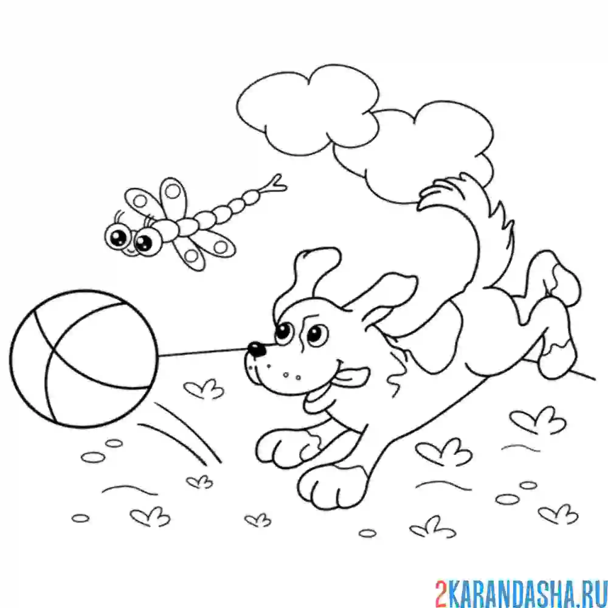 Раскраска собака играет с мячом