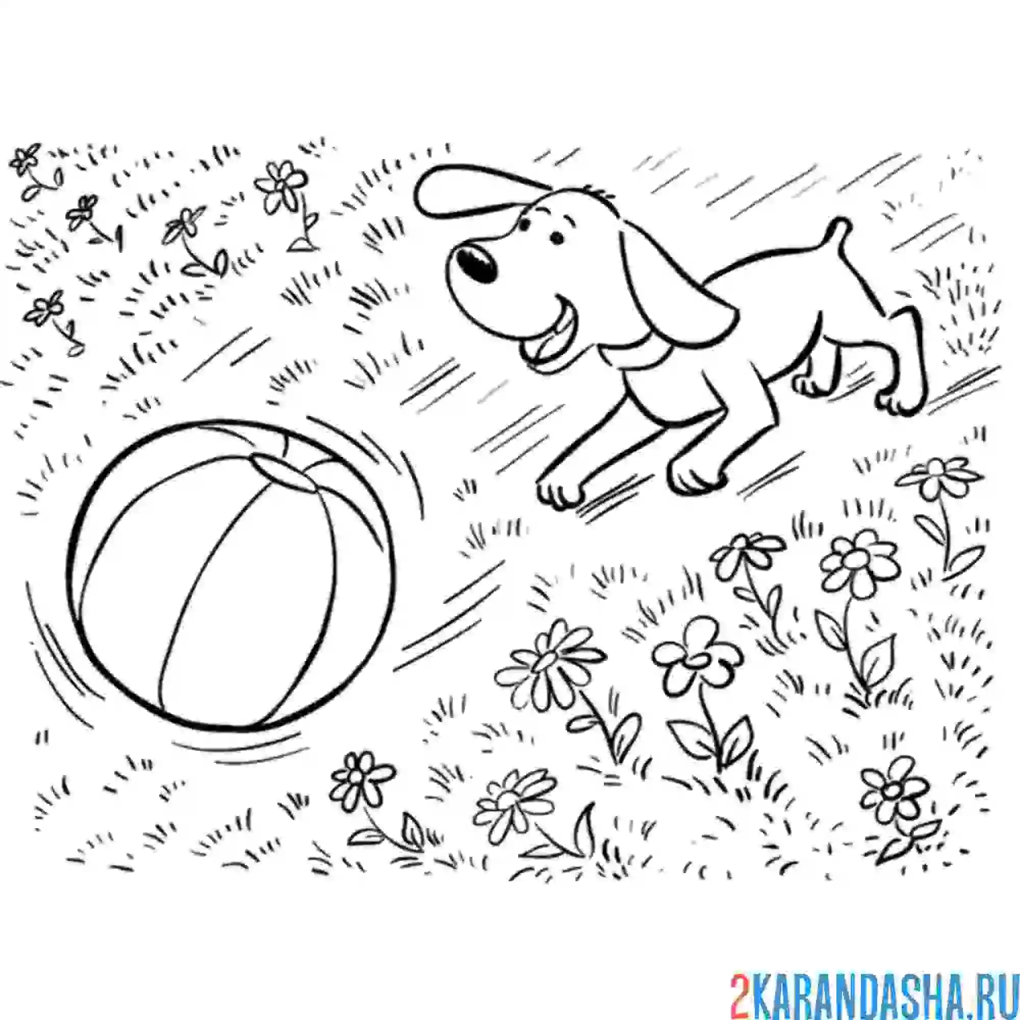 Раскраска собачка бежит за мячом