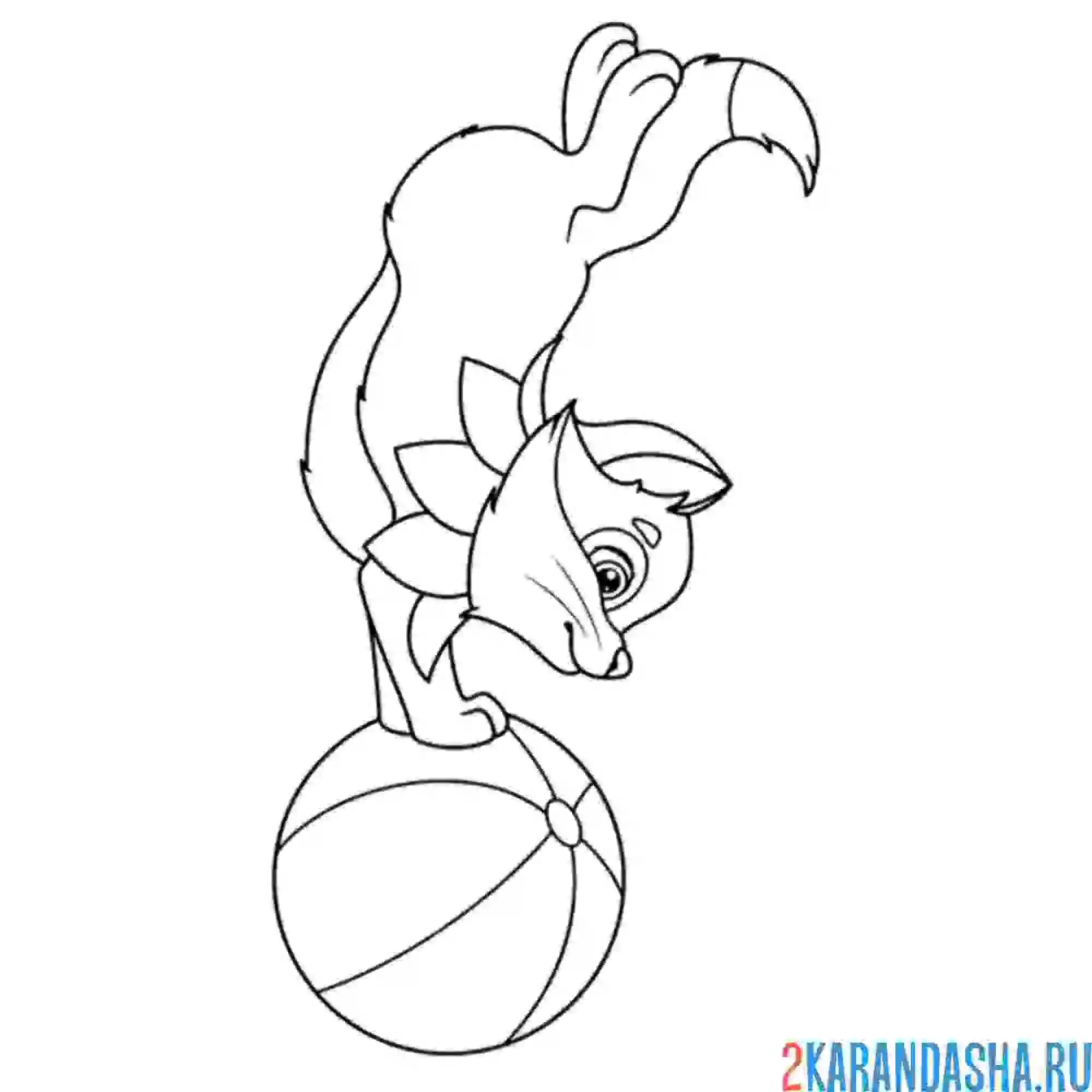 Раскраска котик на мяче