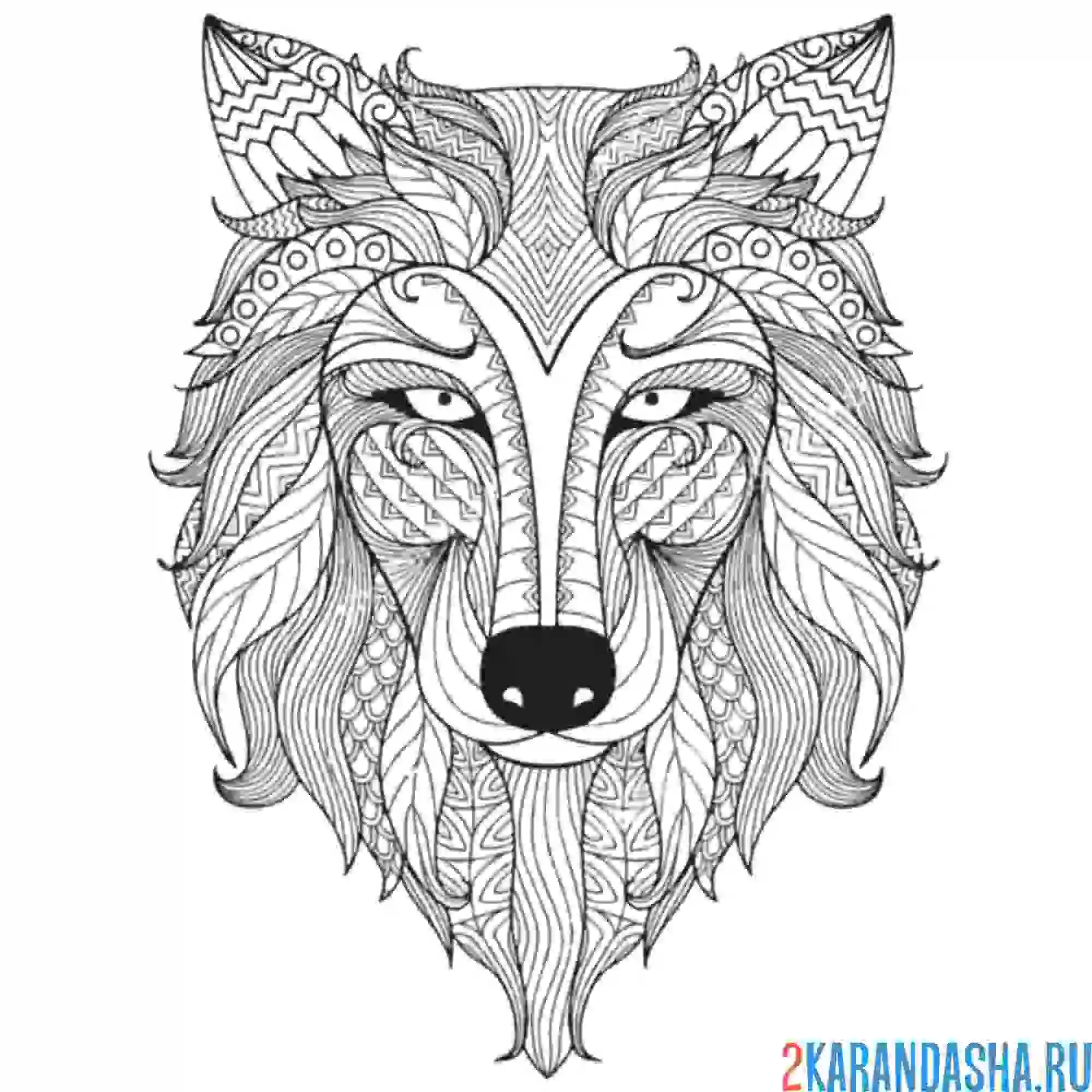 Раскраска суровый волк
