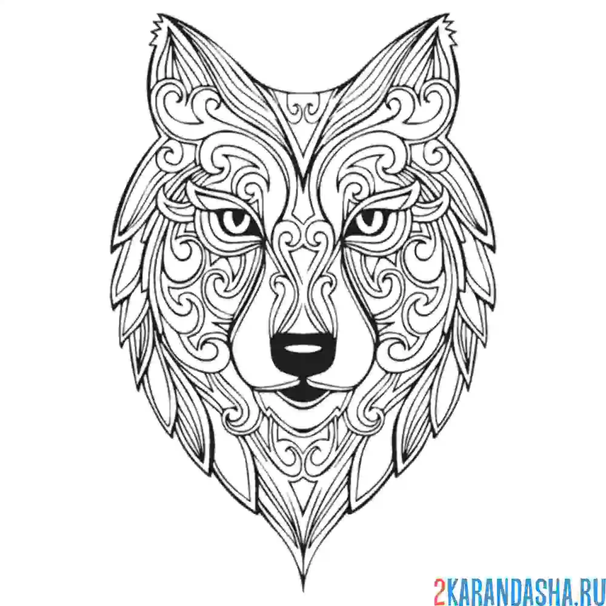 Раскраска волк голова