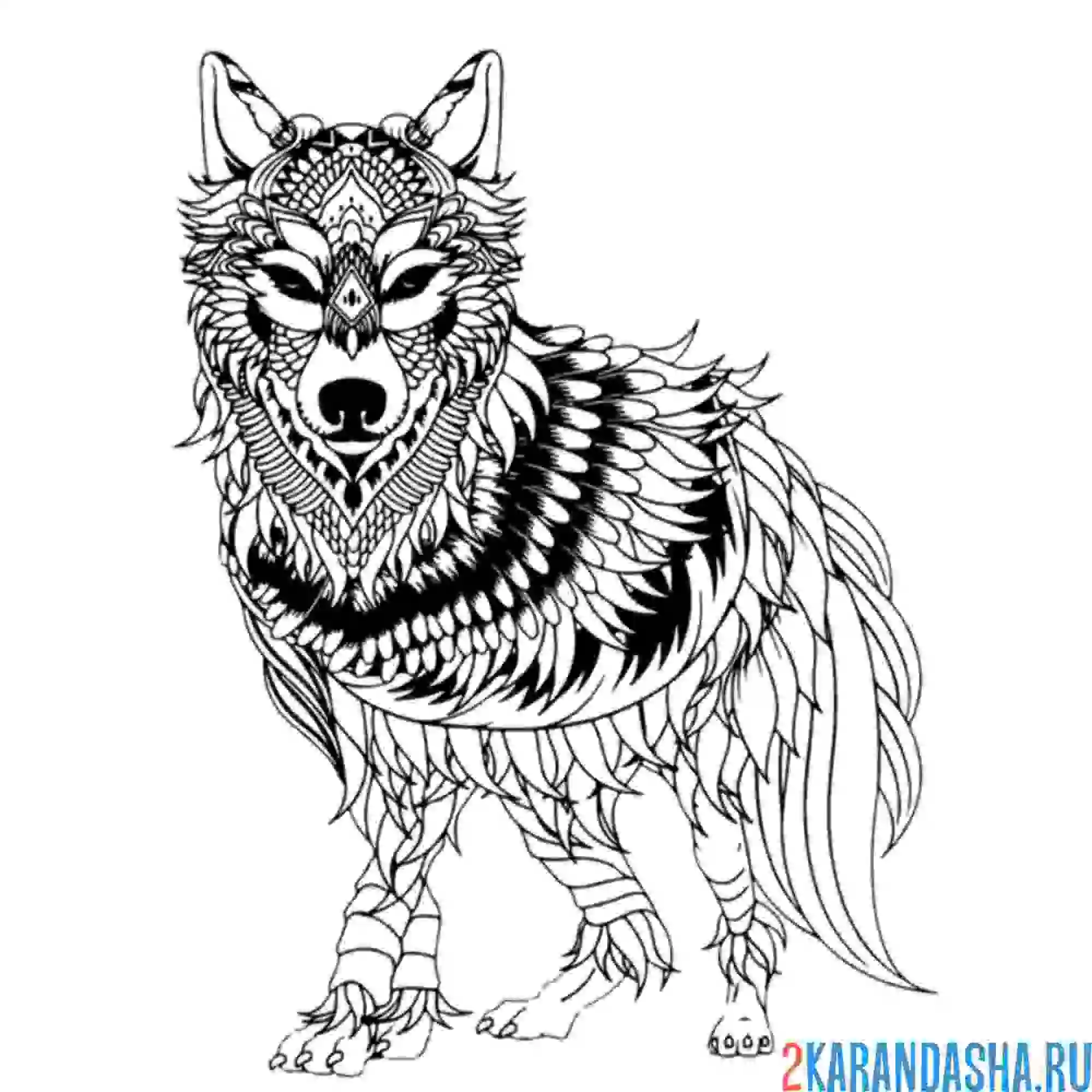 Раскраска волк лесной