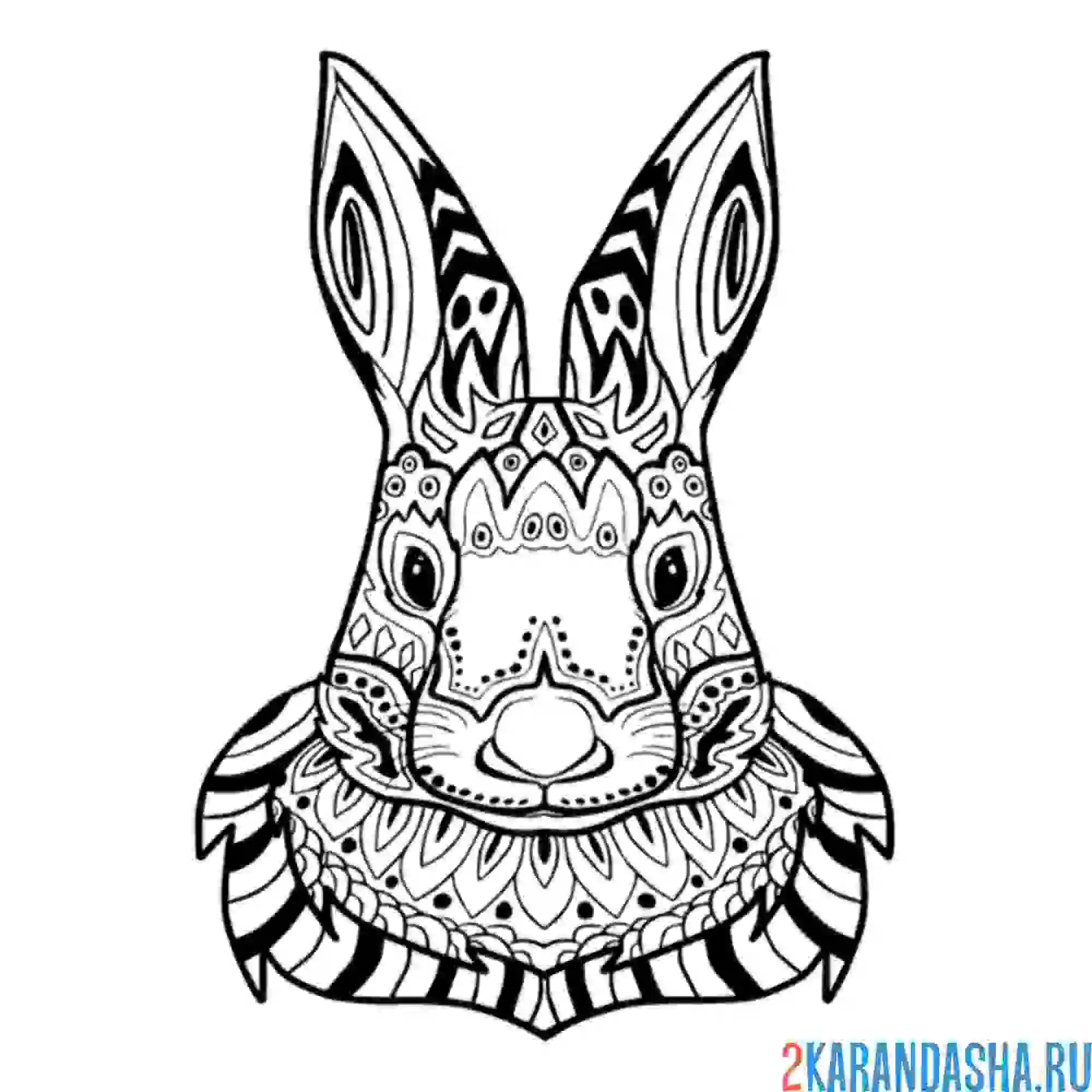 Раскраска кролик голова