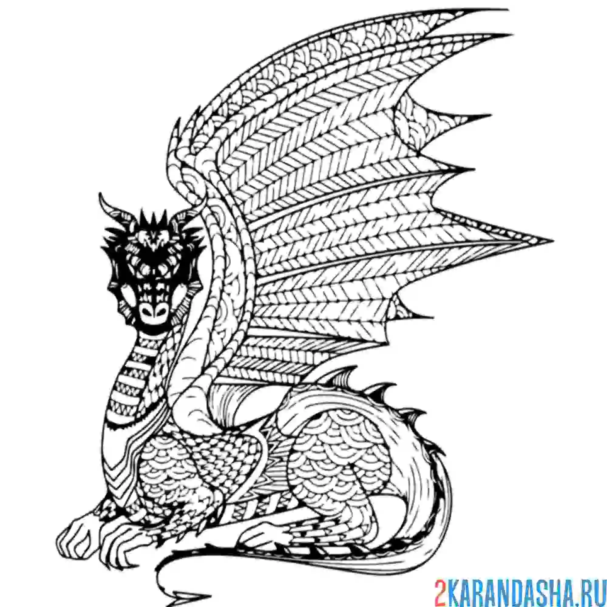 Раскраска дракон мифический