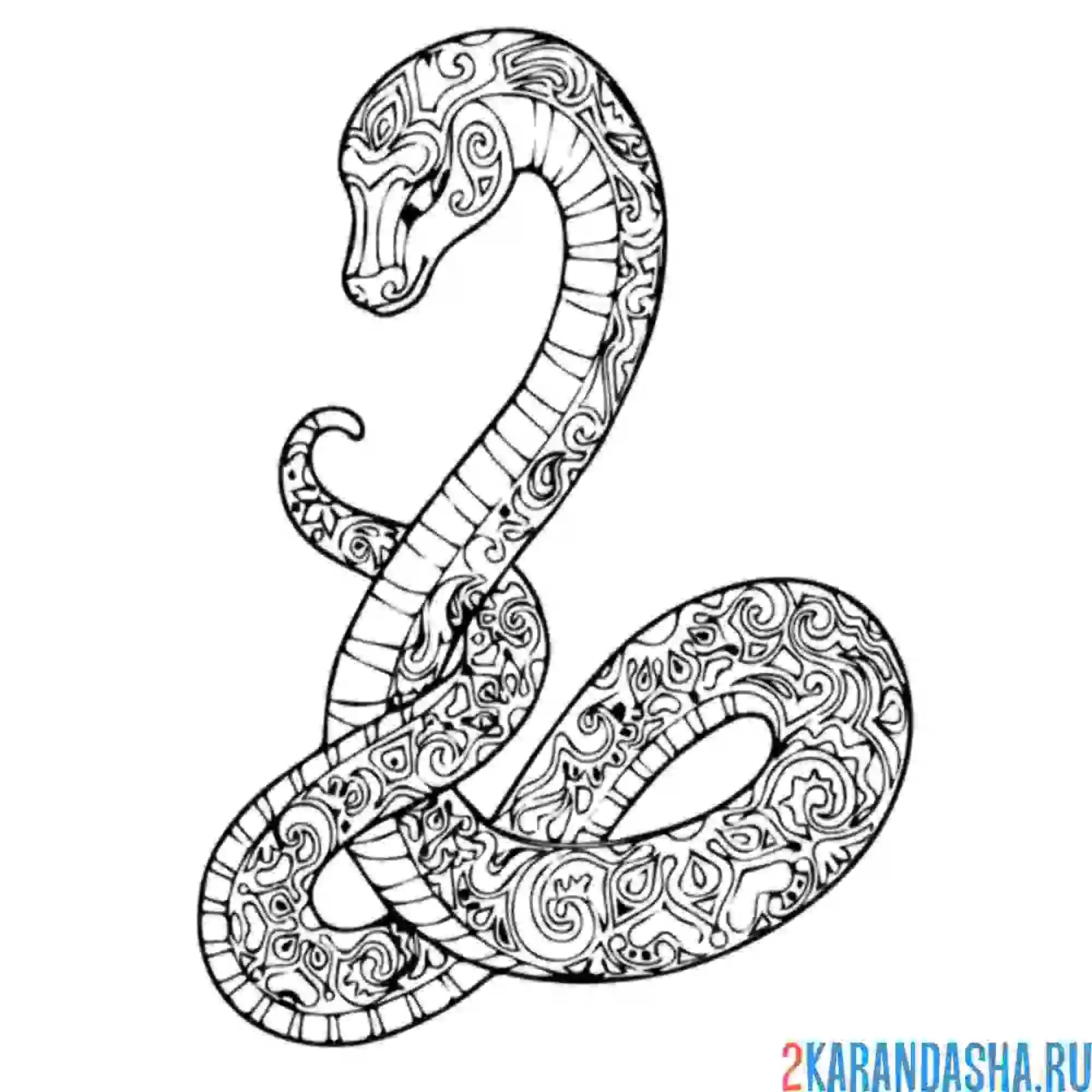 Раскраска змея гремучая