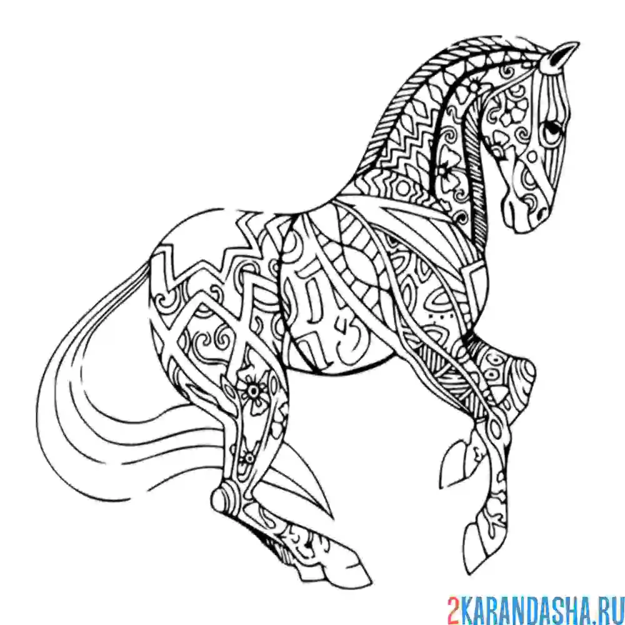 Раскраска жеребец скакун
