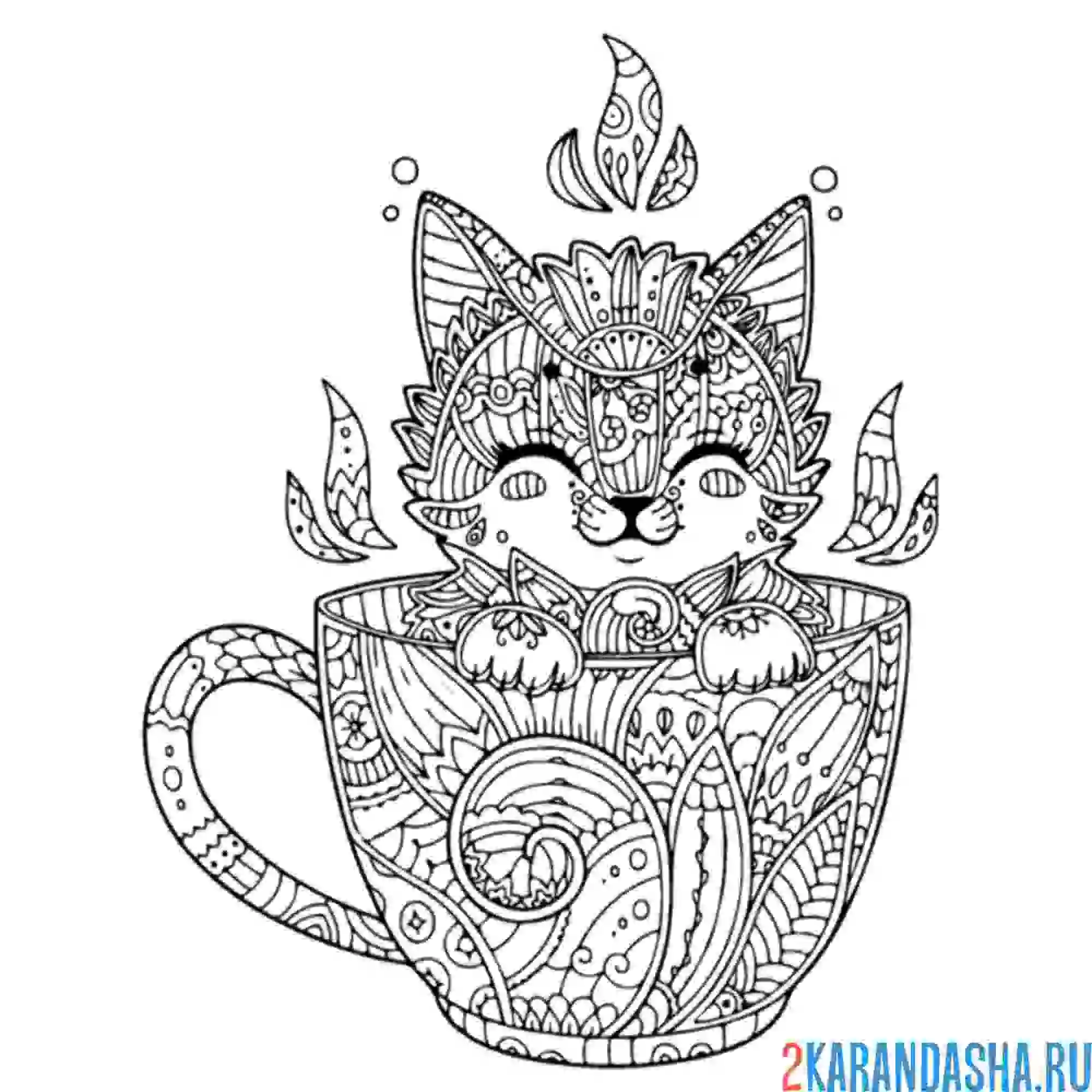 Раскраска котик в чашке