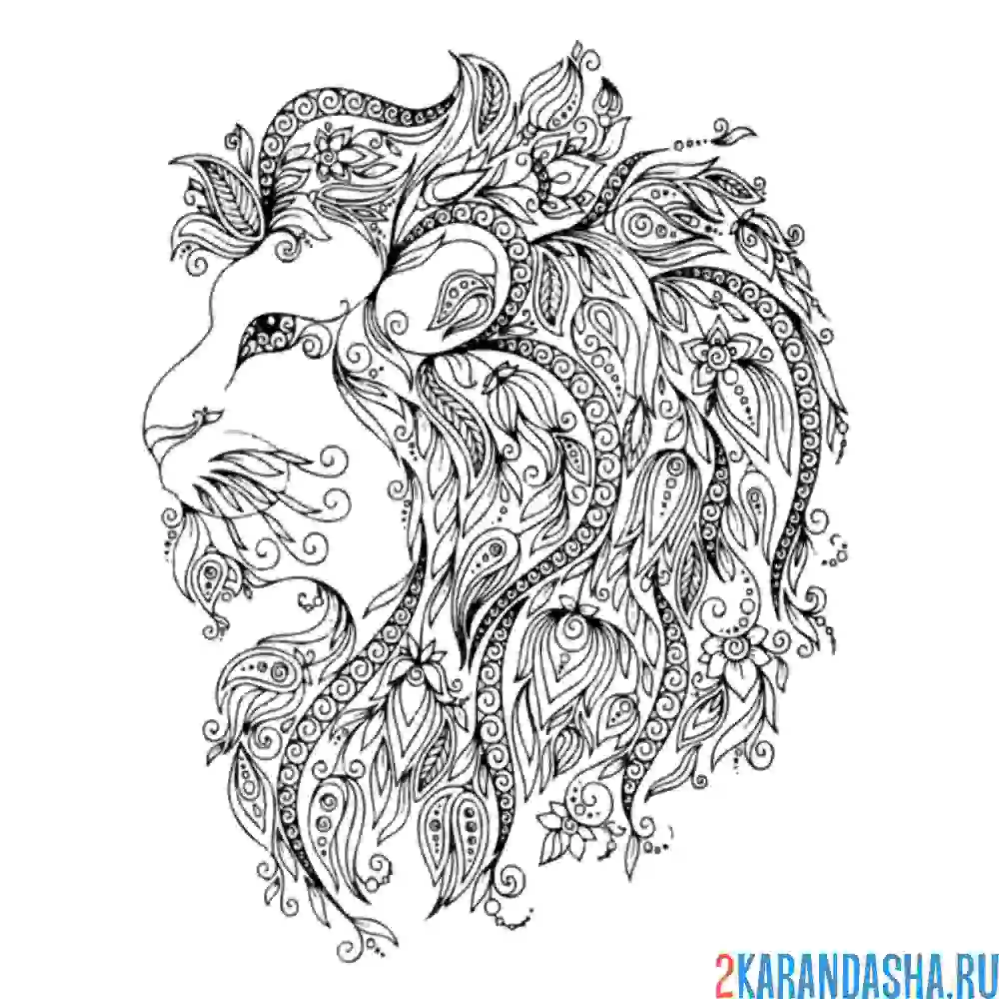 Раскраска сбоку лев