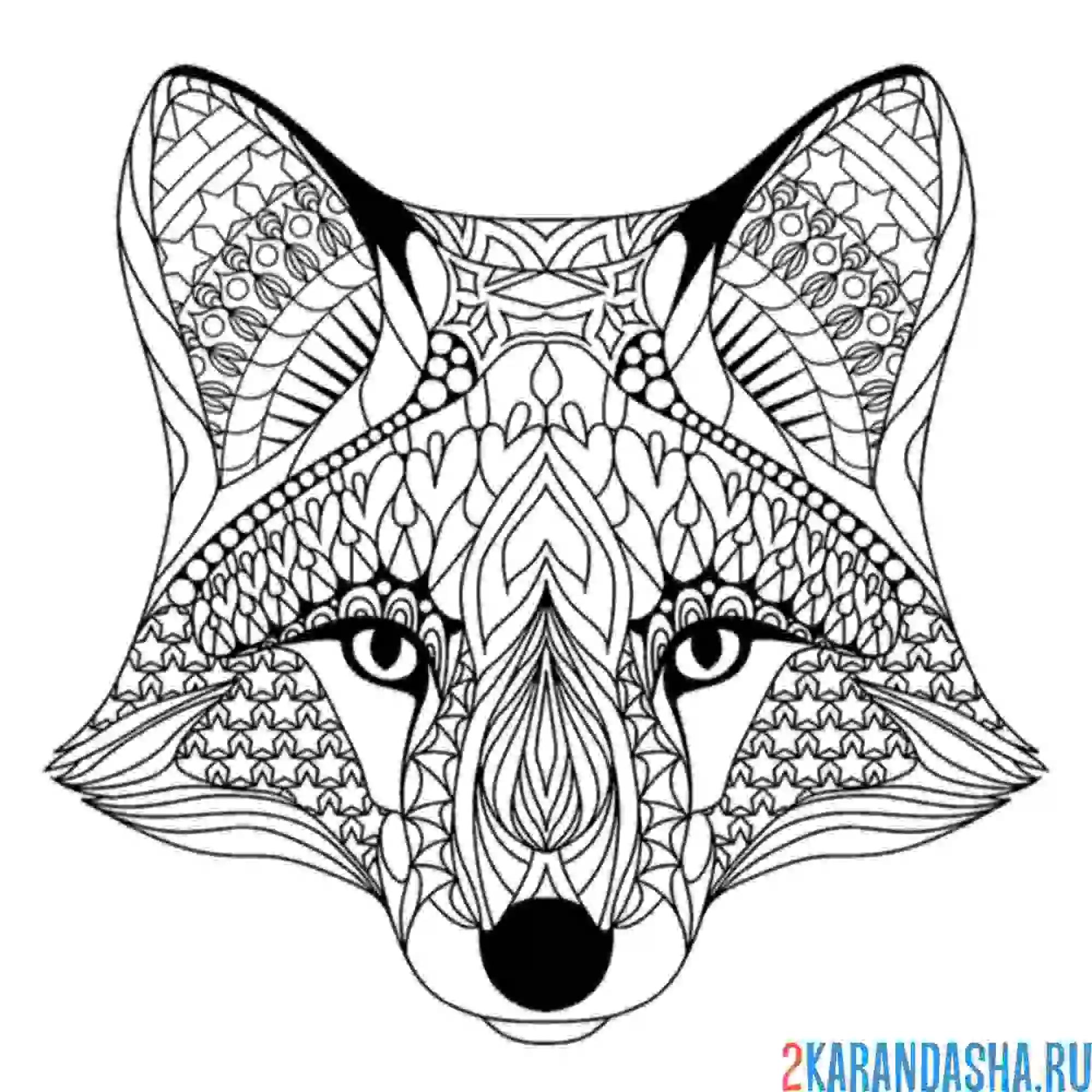 Раскраска лиса голова