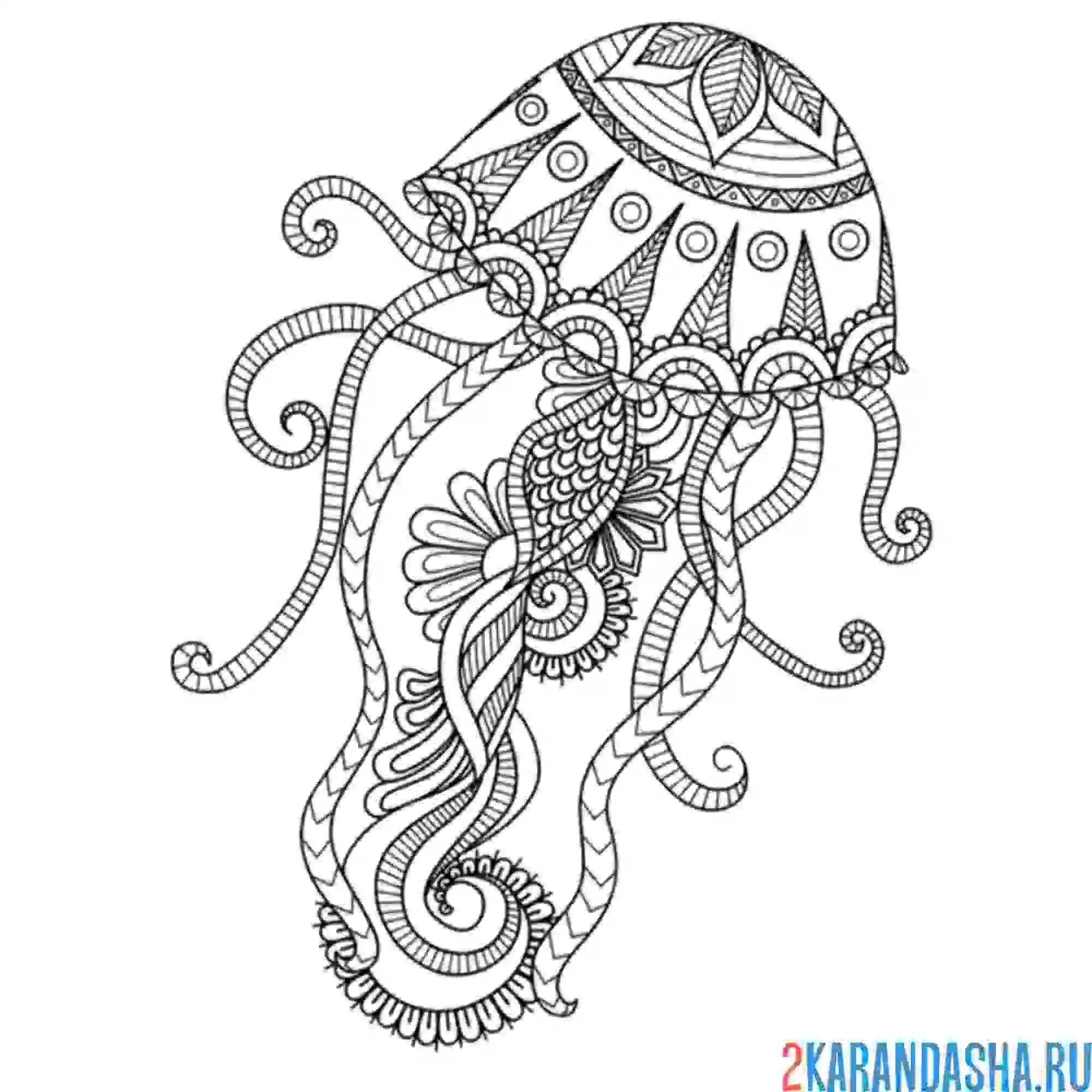 Раскраска медуза узоры