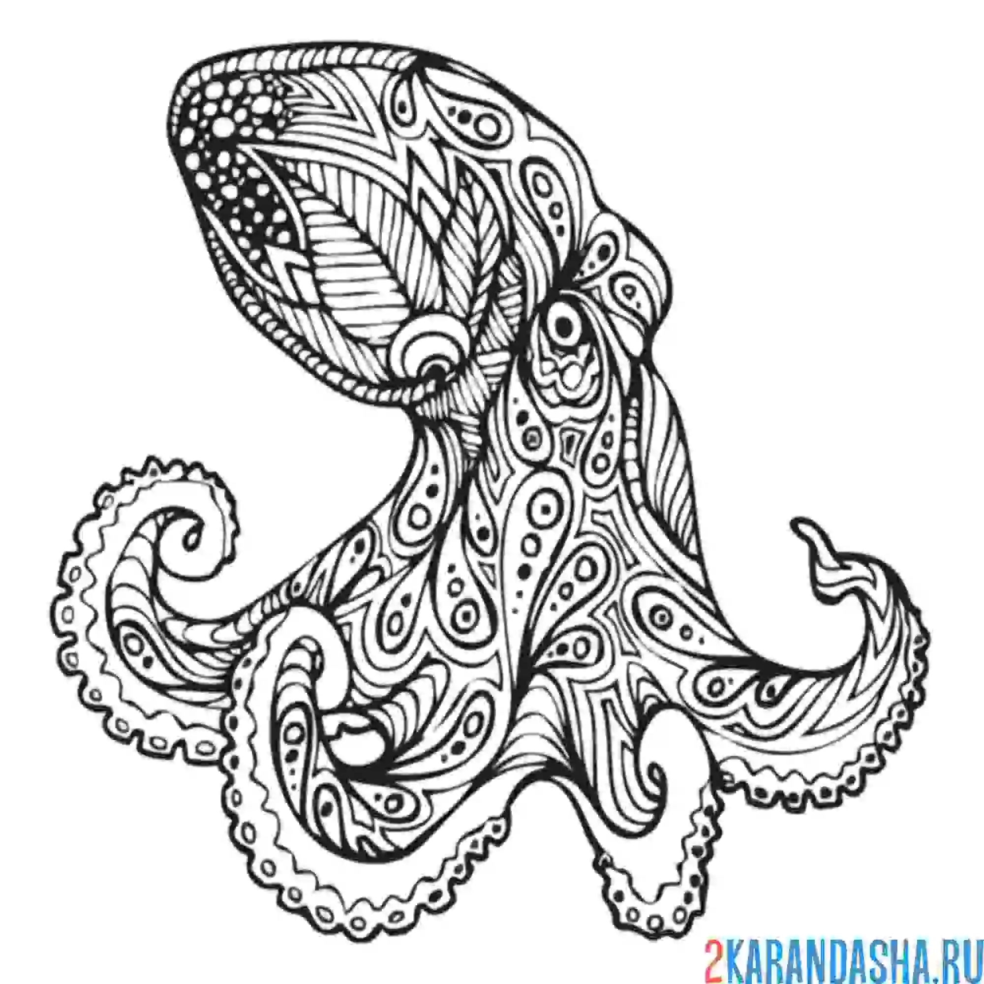 Раскраска осьминог морской