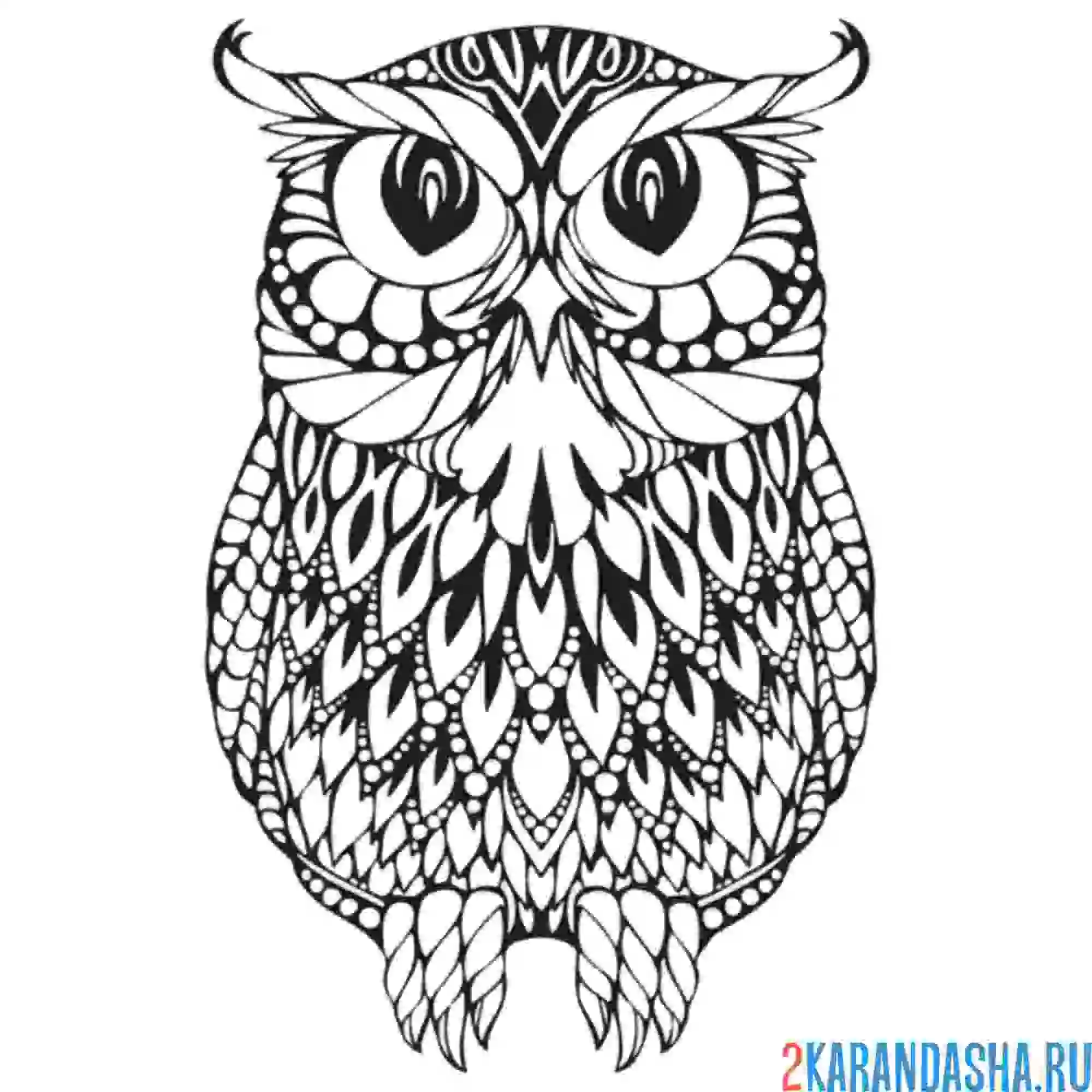 Раскраска филин сова