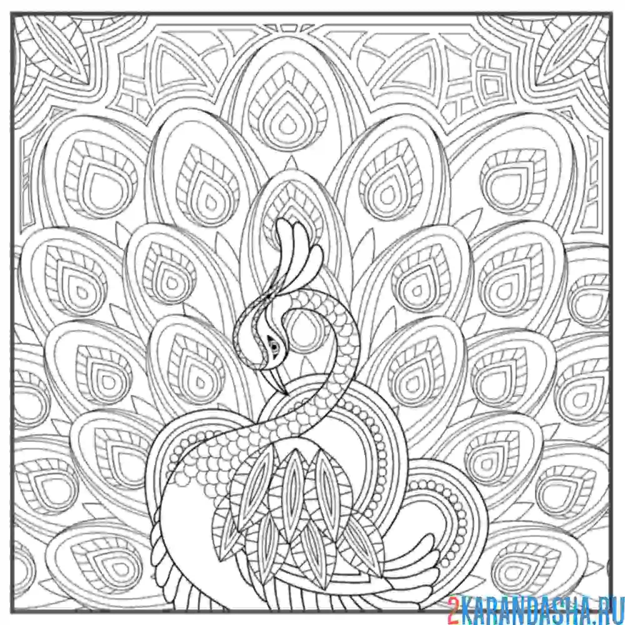 Раскраска жар-птица