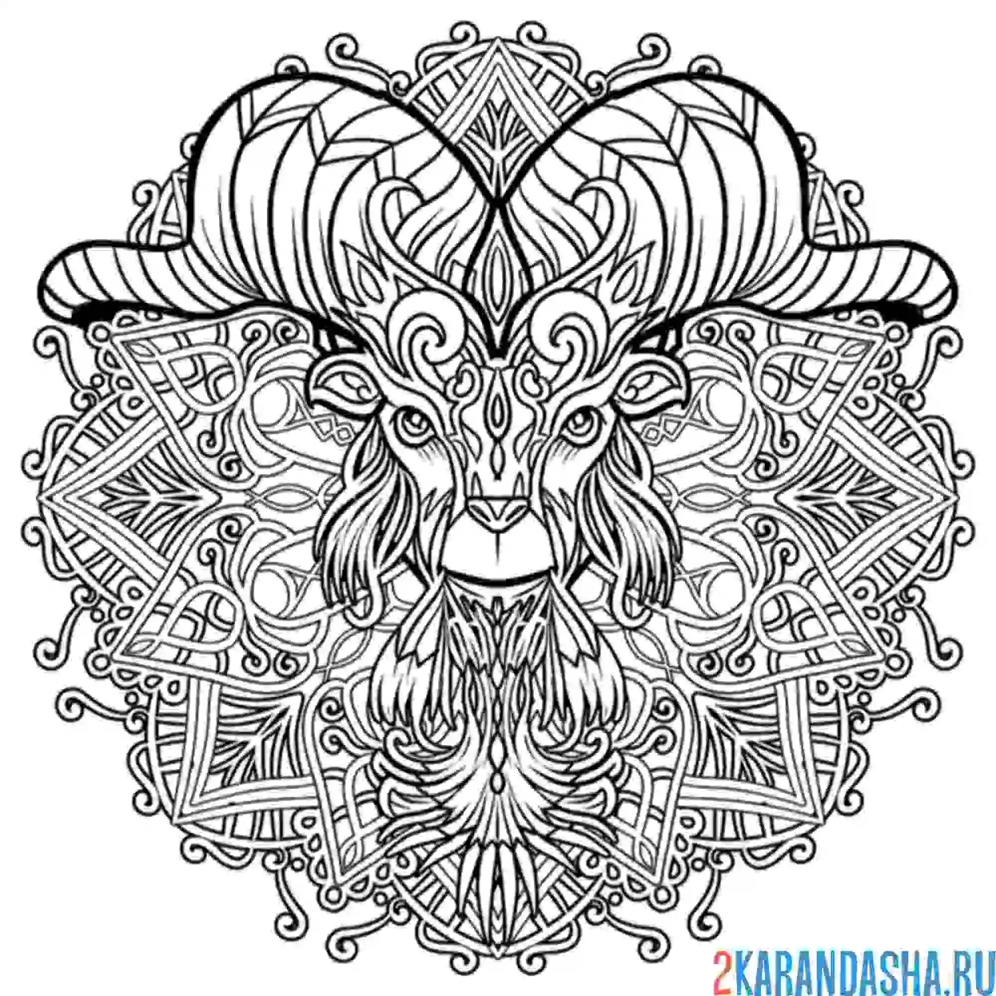 Раскраска овен