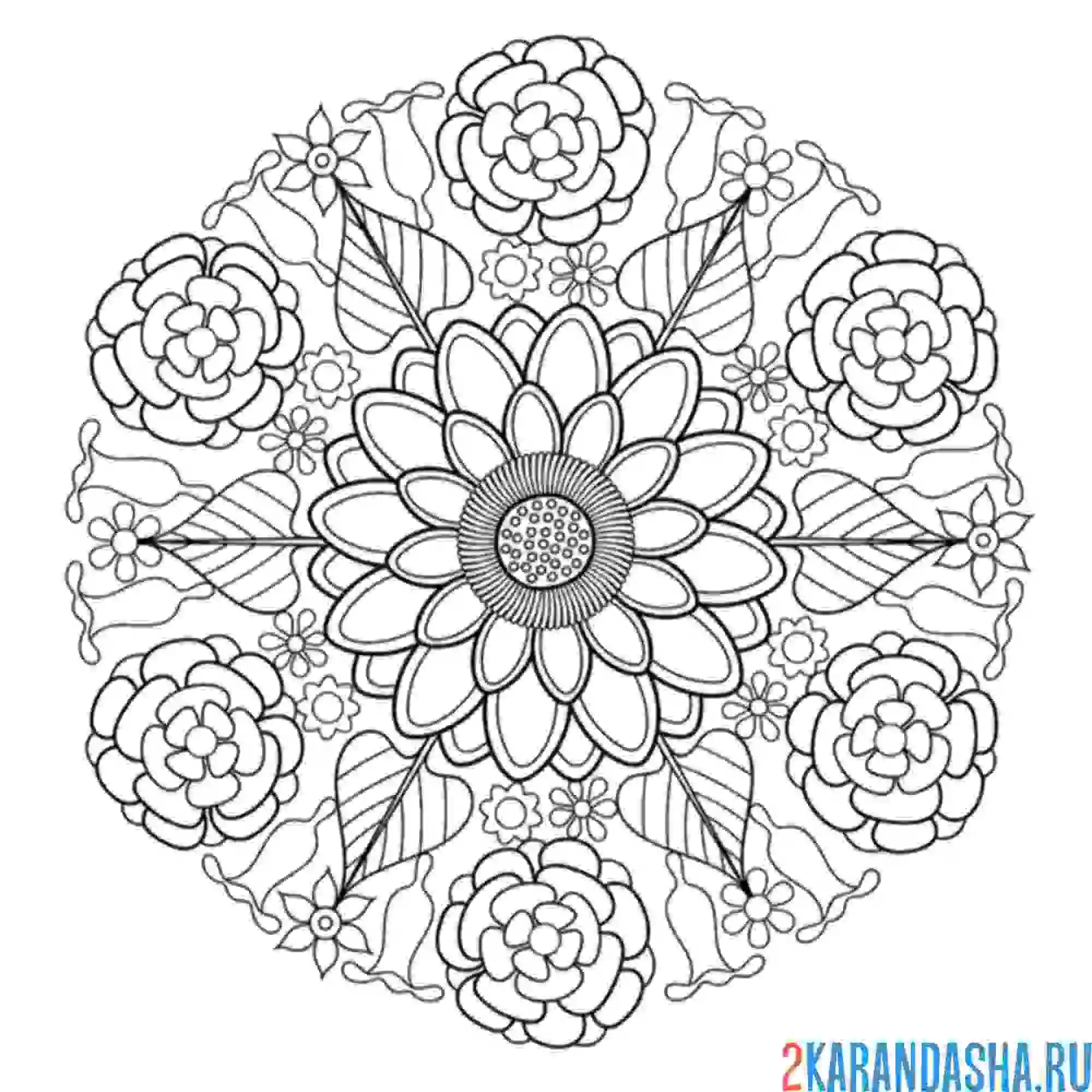 Раскраска простые цветы узоры
