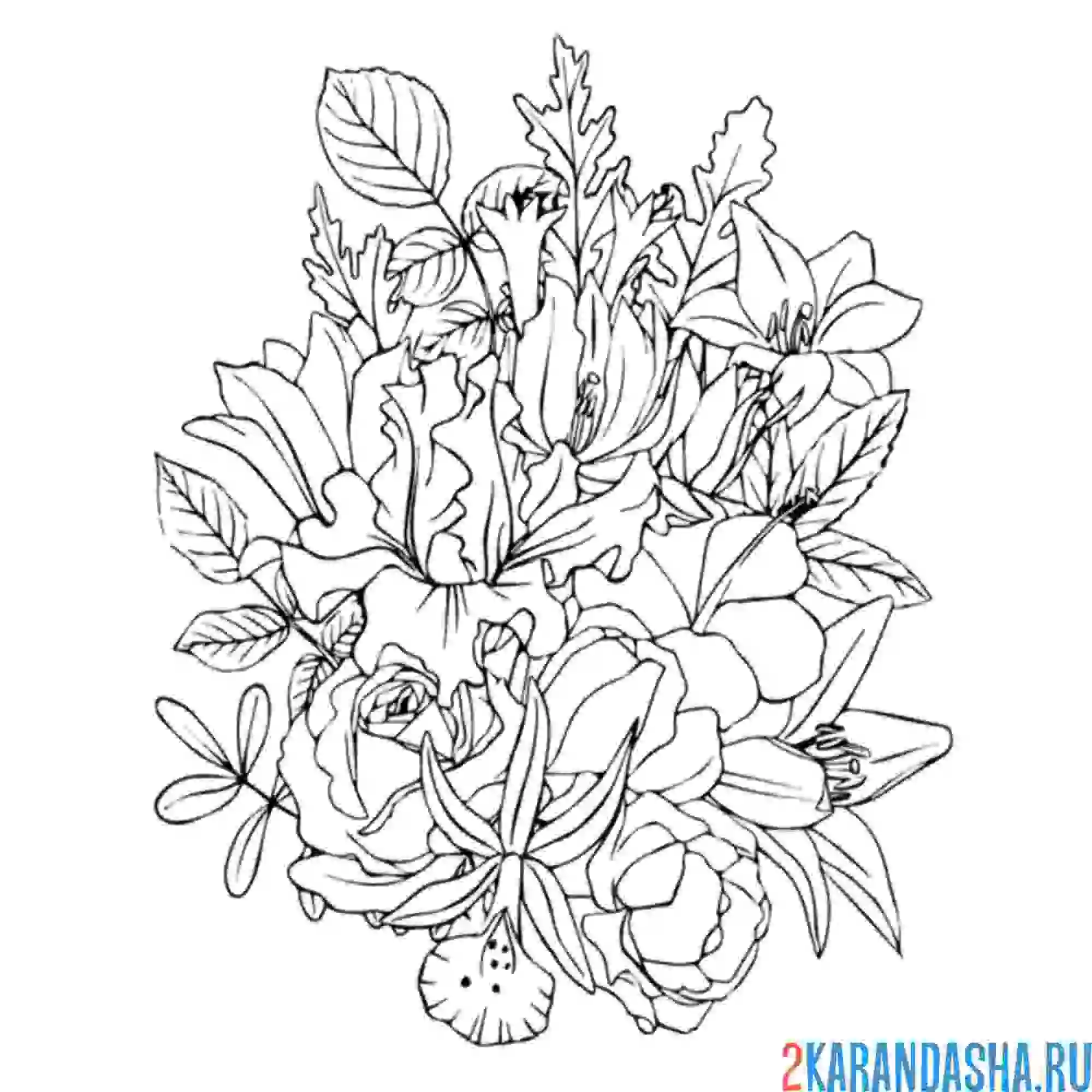 Раскраска букет плотный