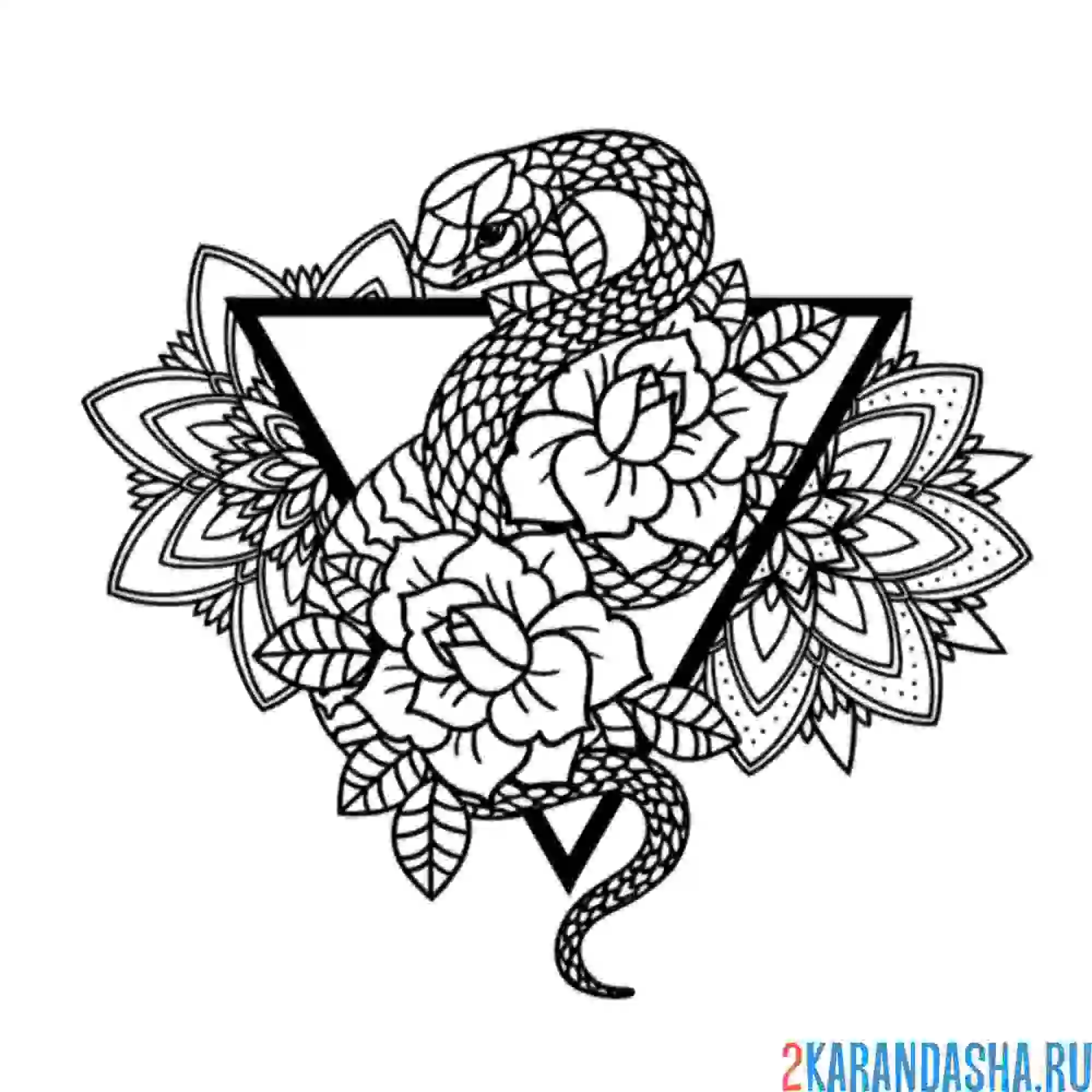 Раскраска змея в цветах