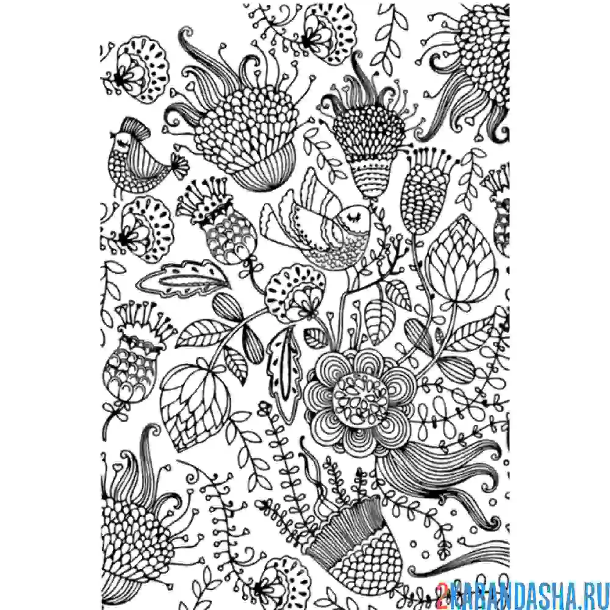 Раскраска узоры с птичками