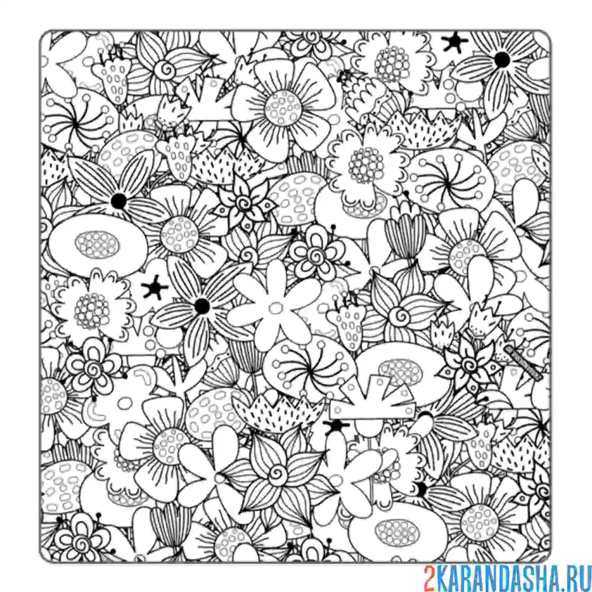 Раскраска цветочки антистресс