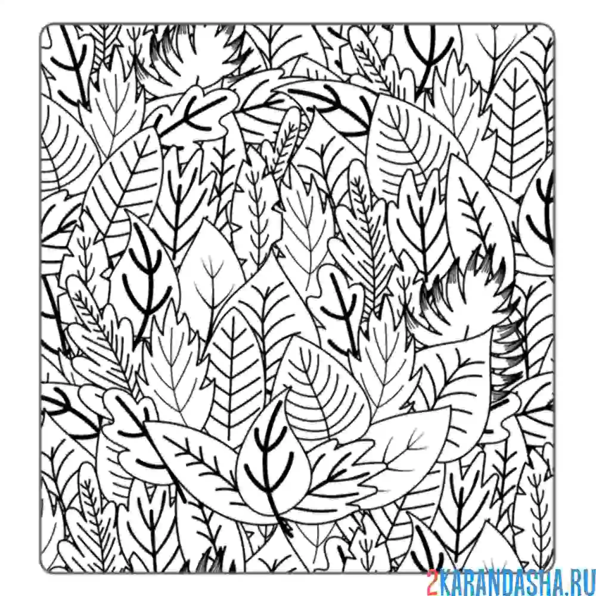 Раскраска листочки антистресс