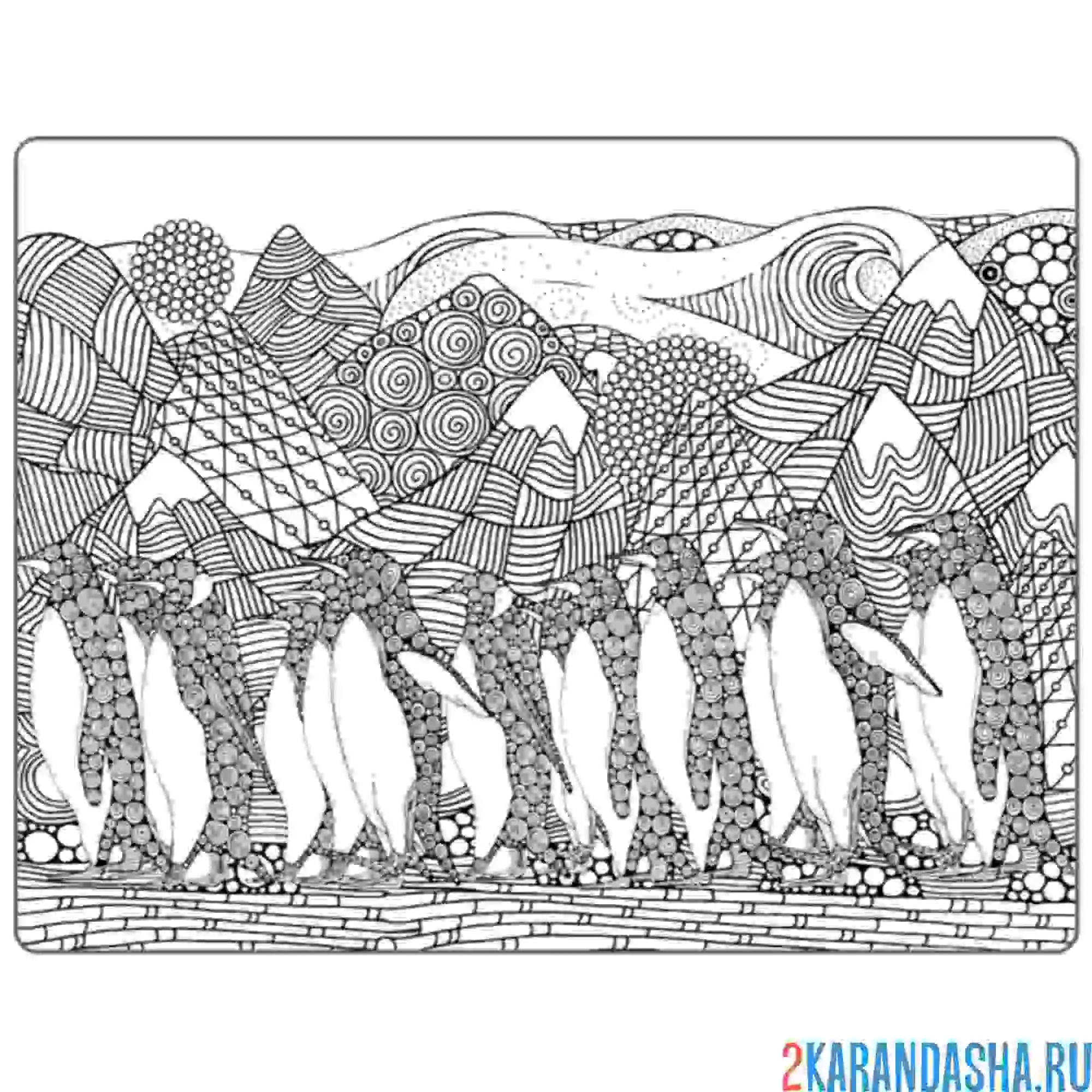 Раскраска антарктида