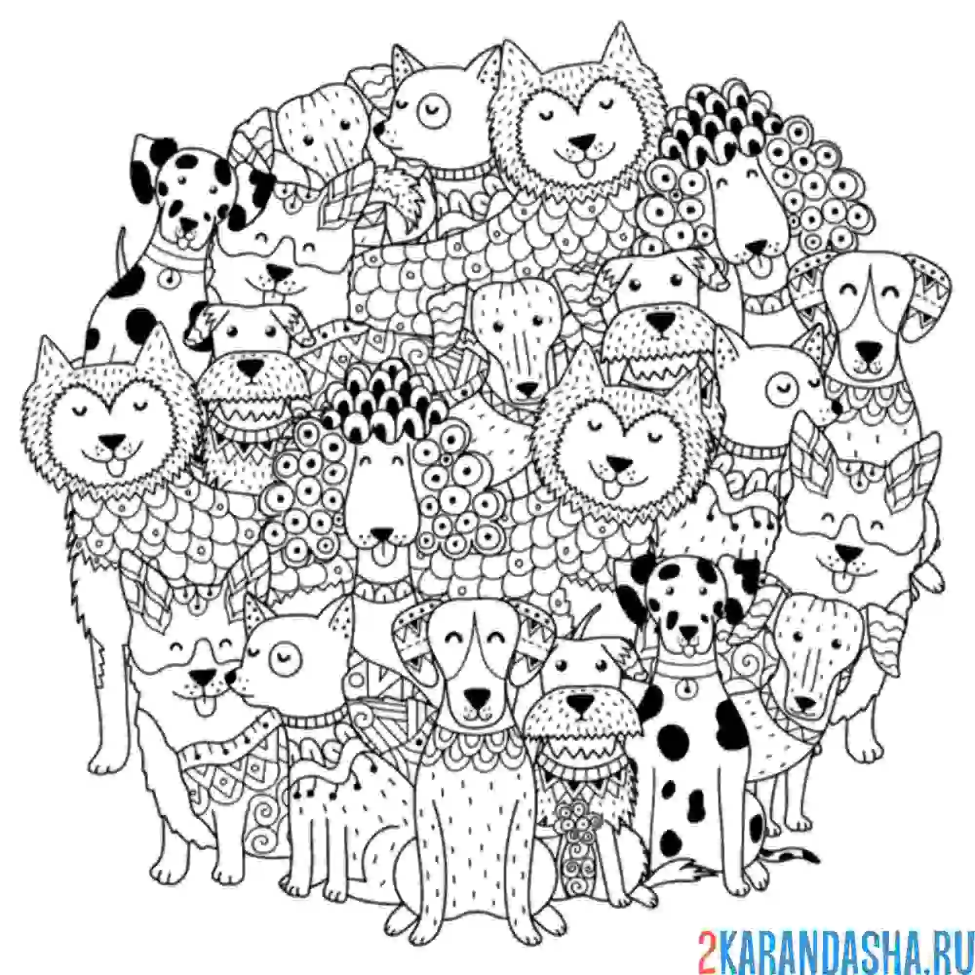 Раскраска милые животные антистресс