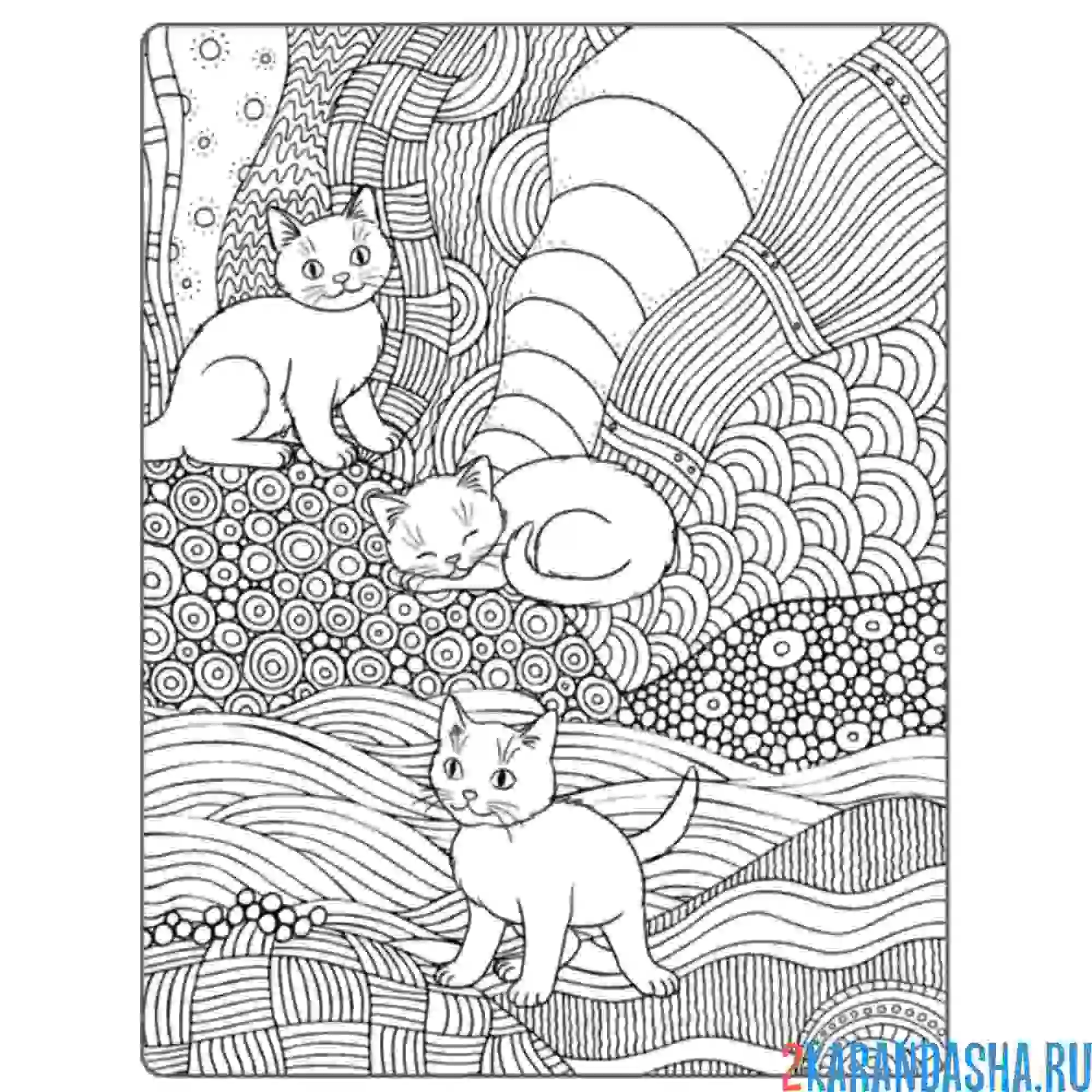 Раскраска три кошечки