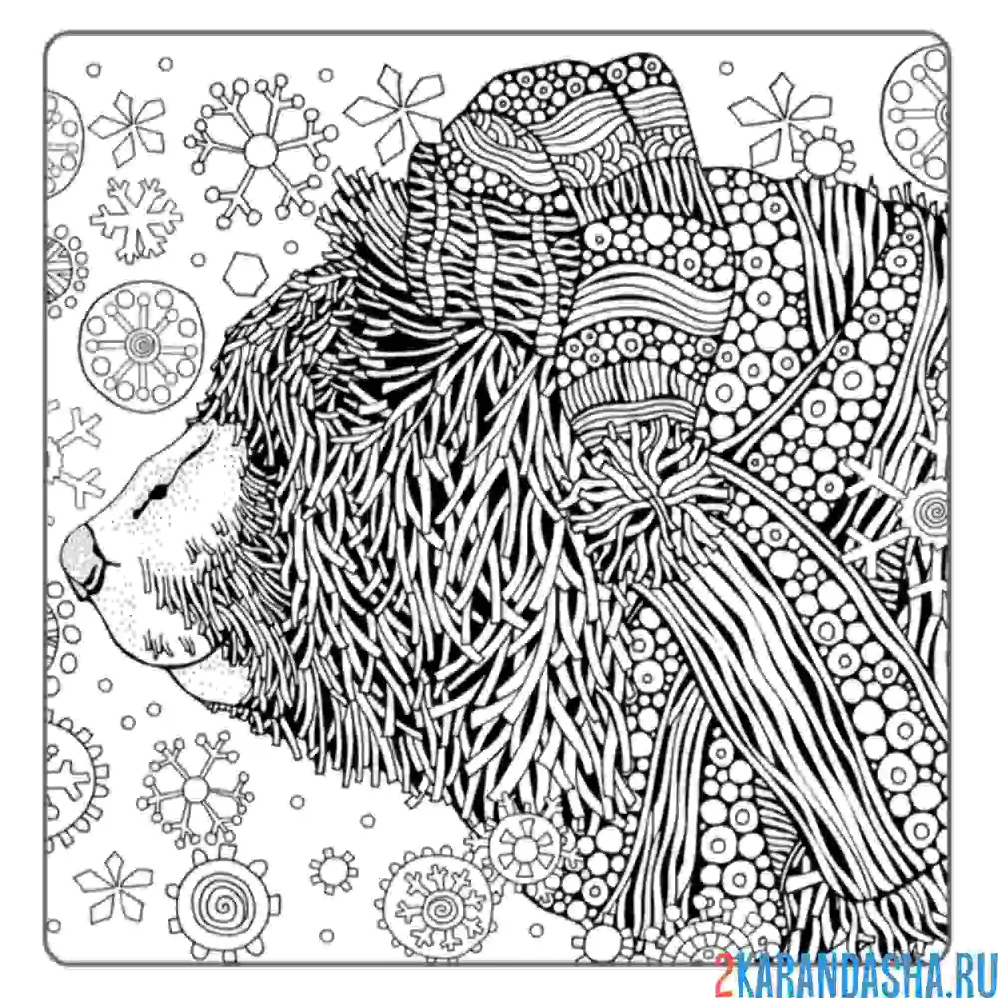 Раскраска медведь сбоку