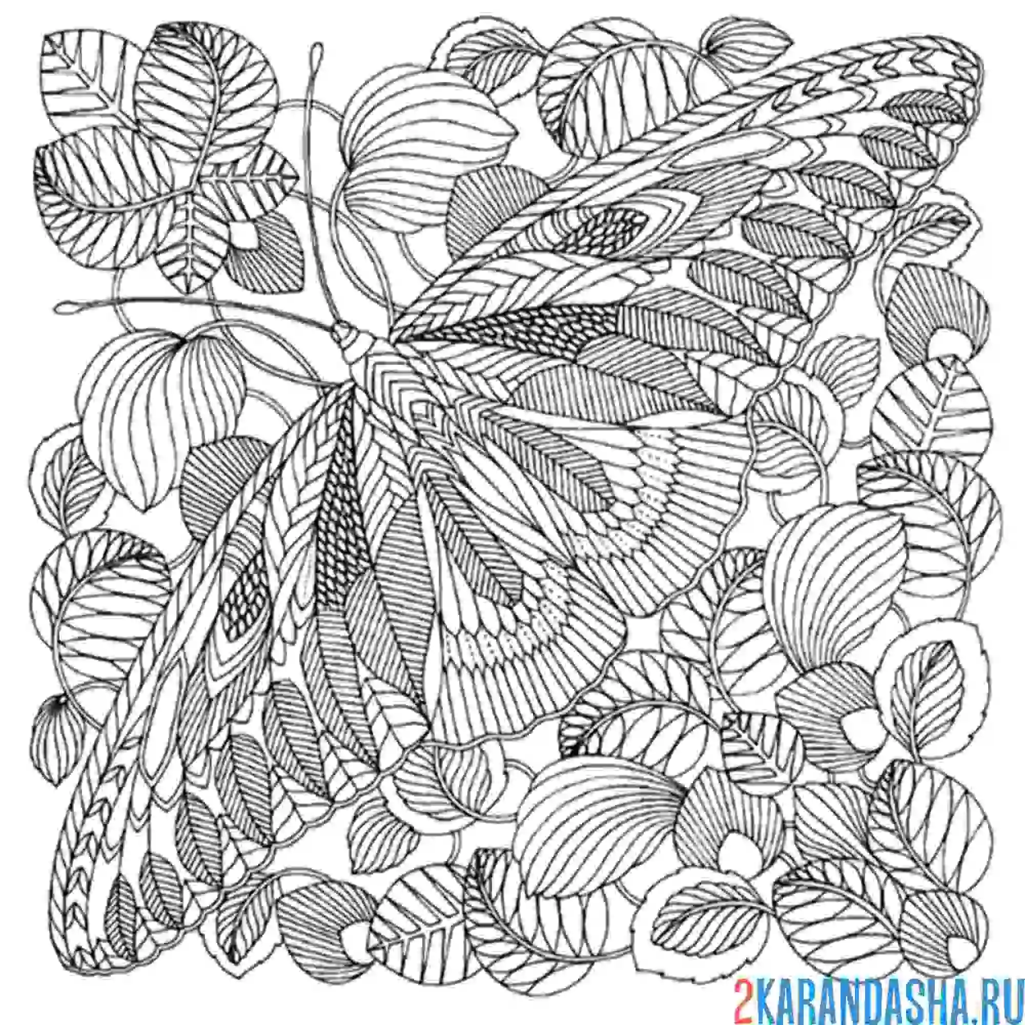 Раскраска бабочка в листьях