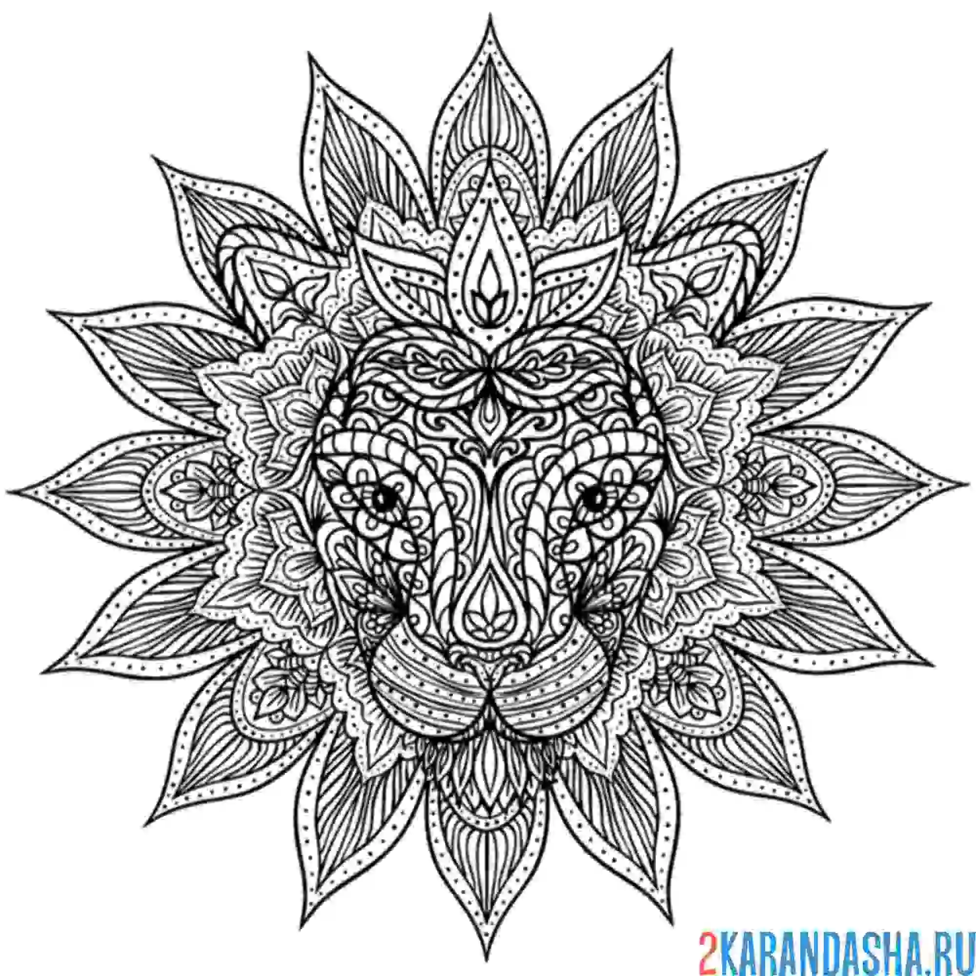 Раскраска лев мандала