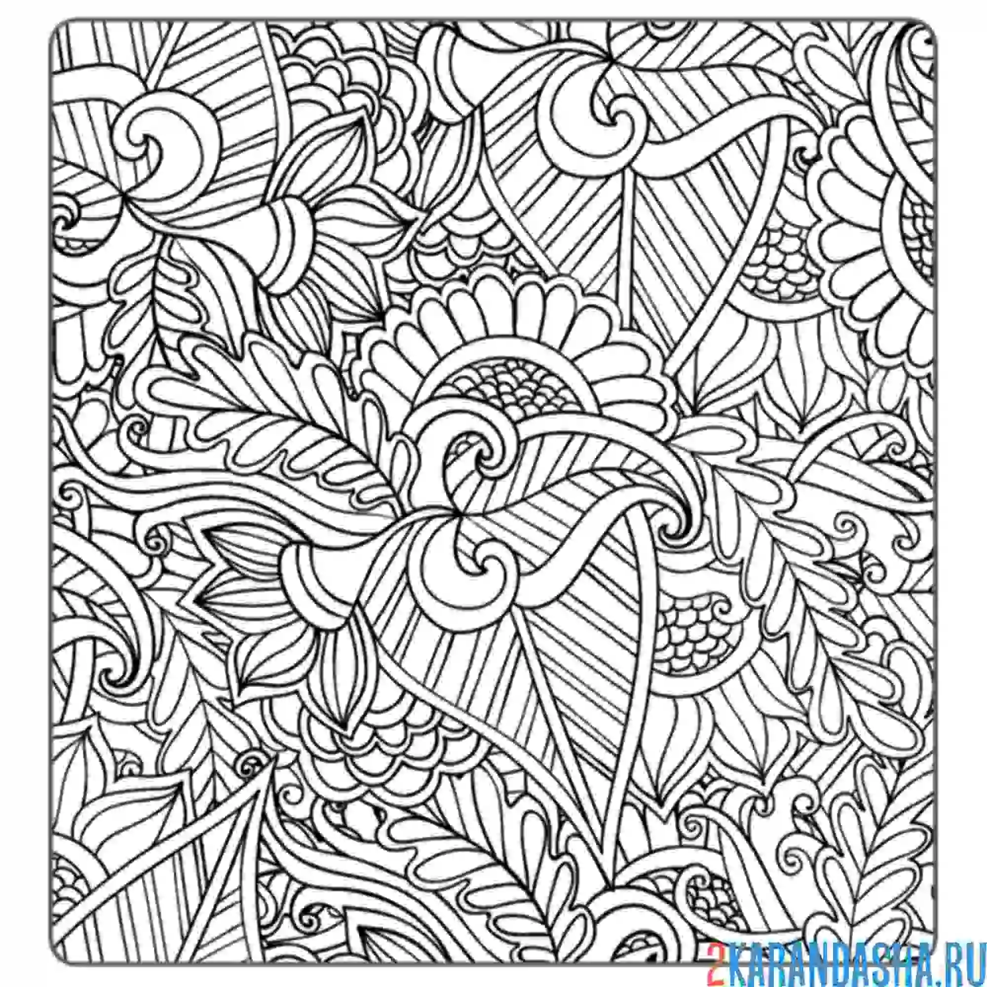 Раскраска подсолнух спрятался