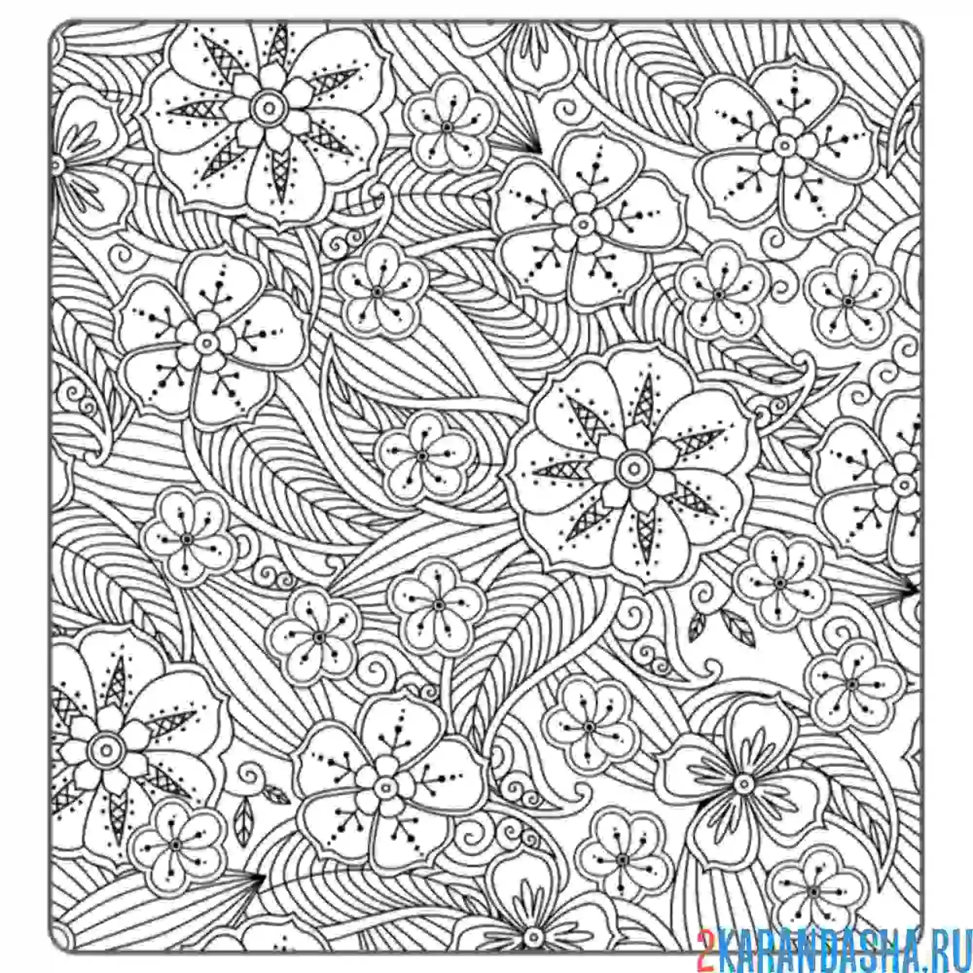 Раскраска цветочная тематика