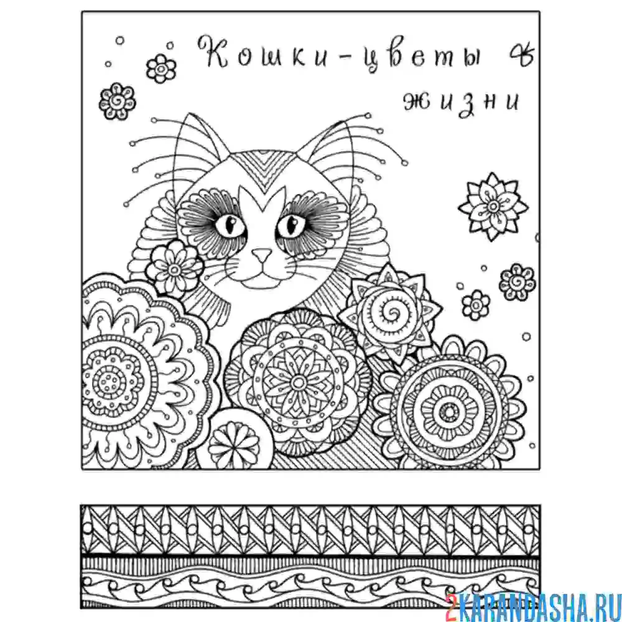 Раскраска любите кошек