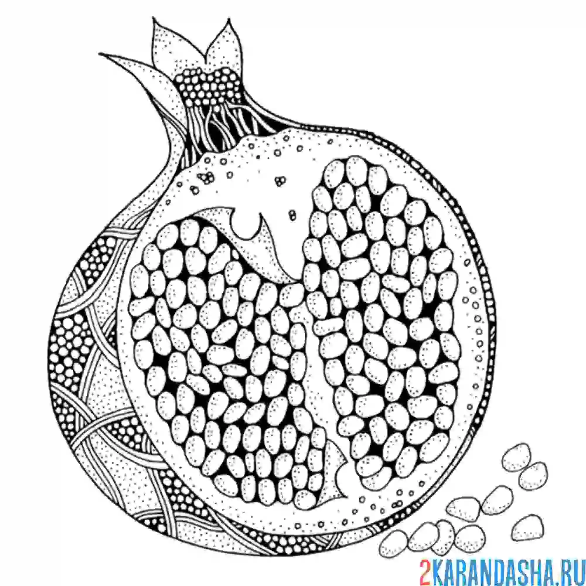 Раскраска гранат