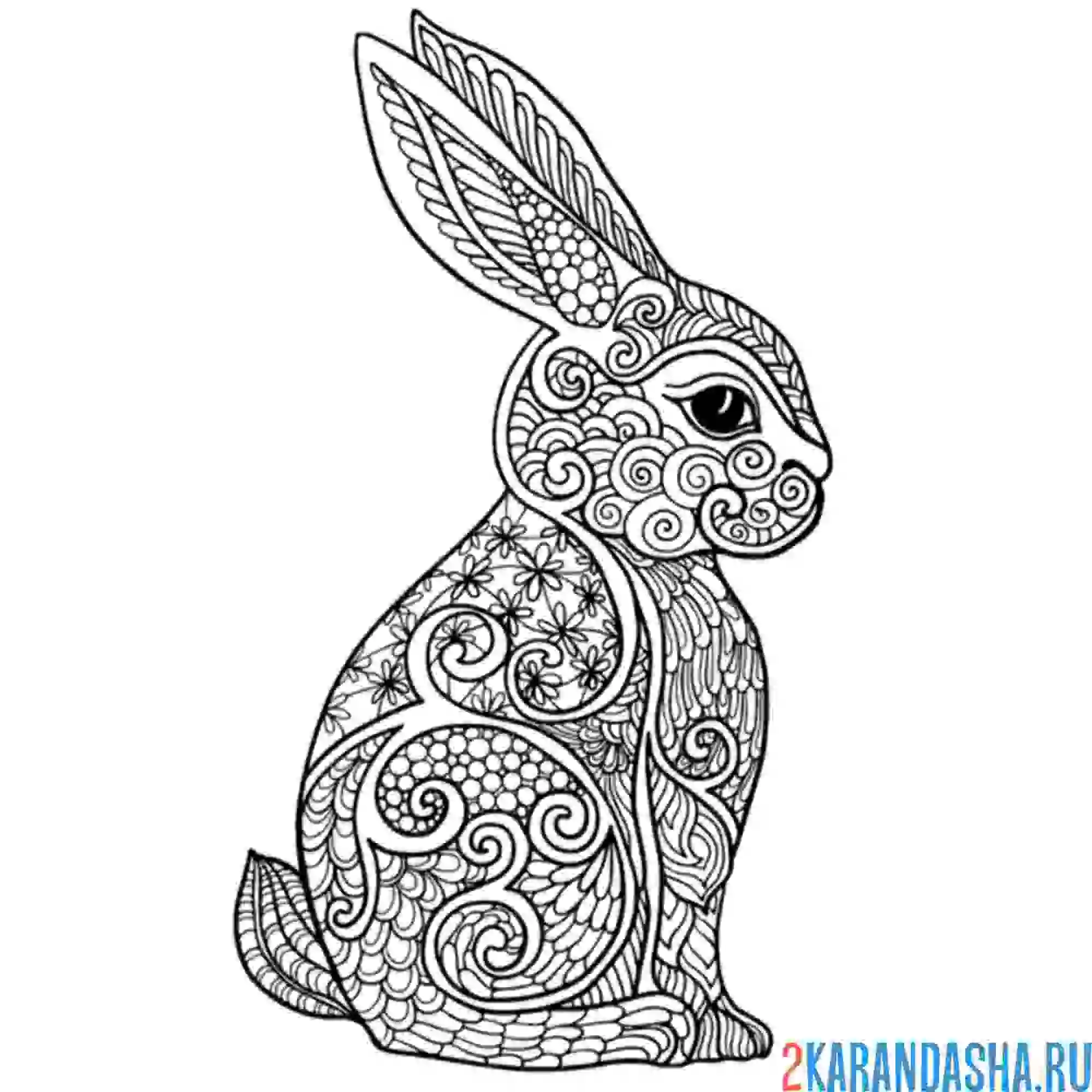 Раскраска заяц сбоку антистресс