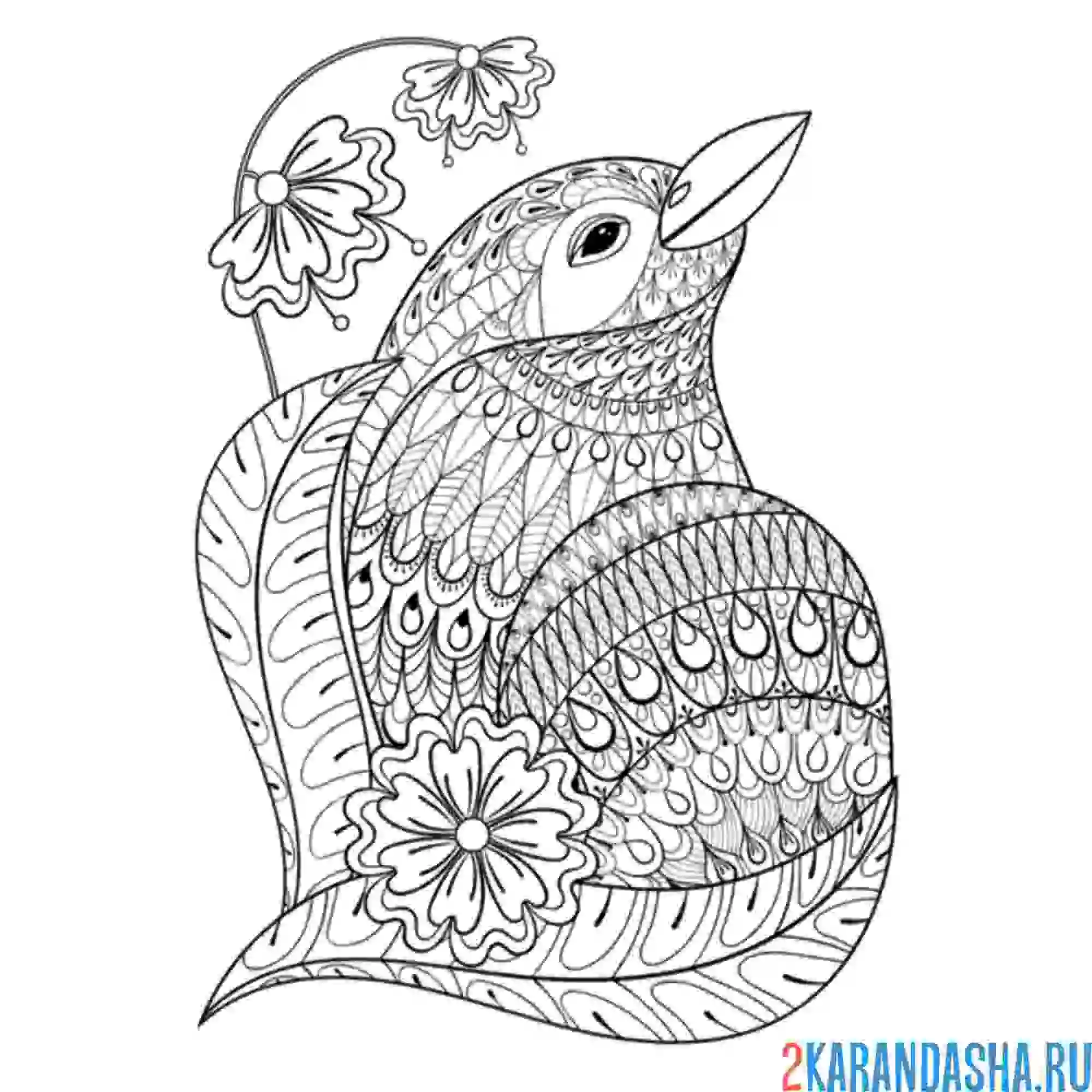 Раскраска птичка и цветок